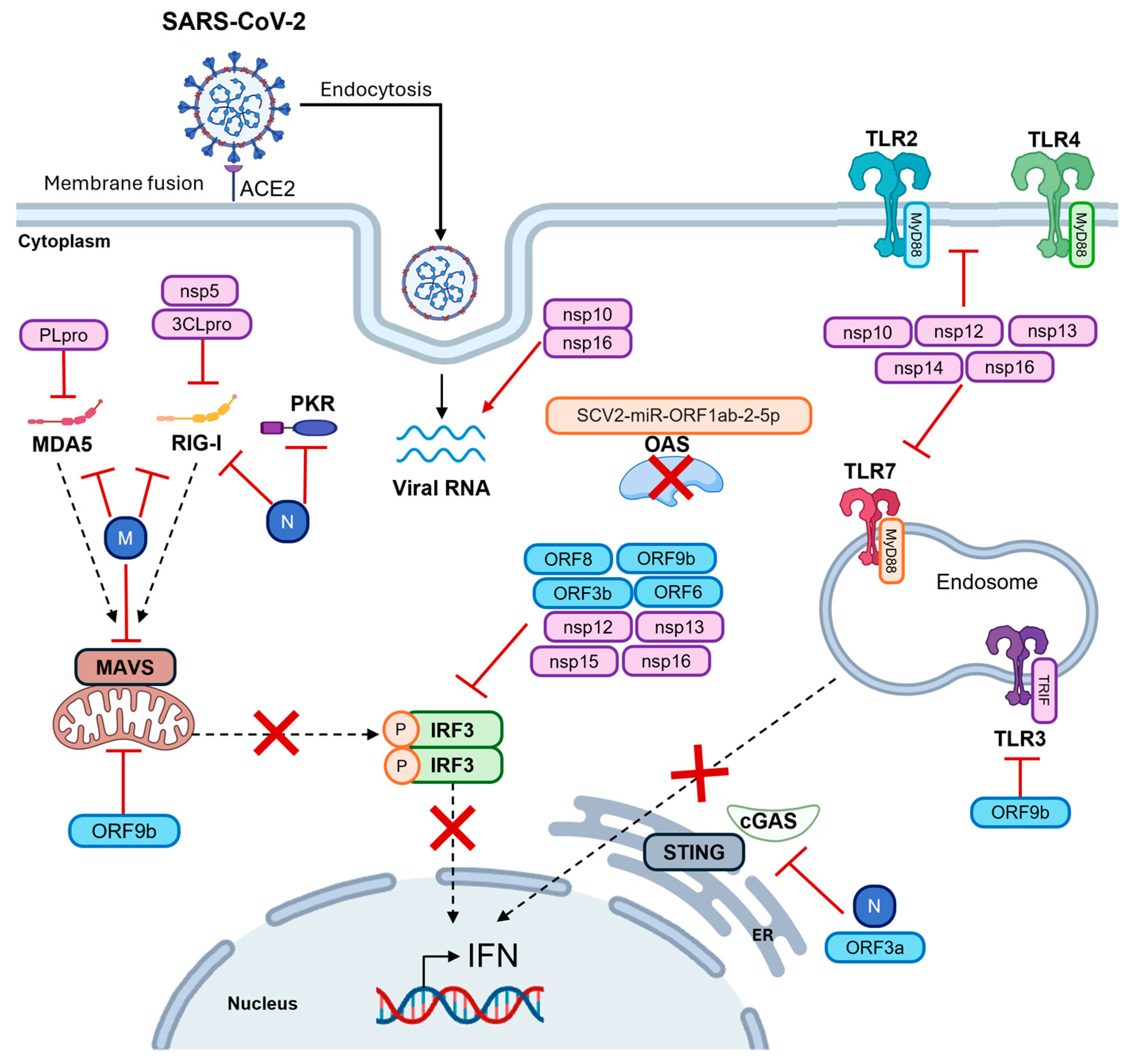 Microorganisms 13 02176 g003