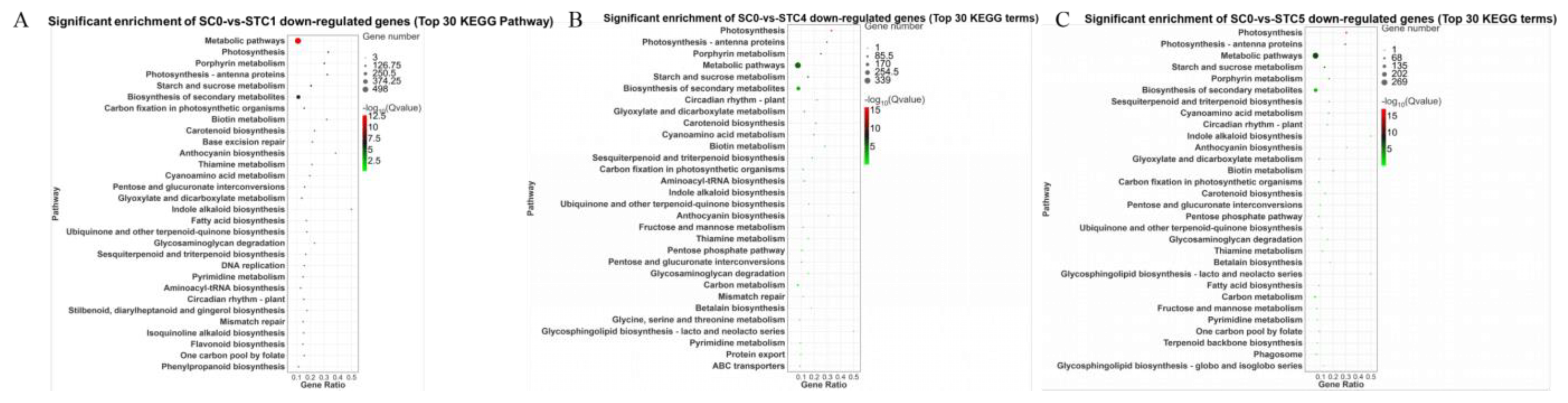 Microorganisms 13 02177 g009 Microorganisms 13 02177 g009