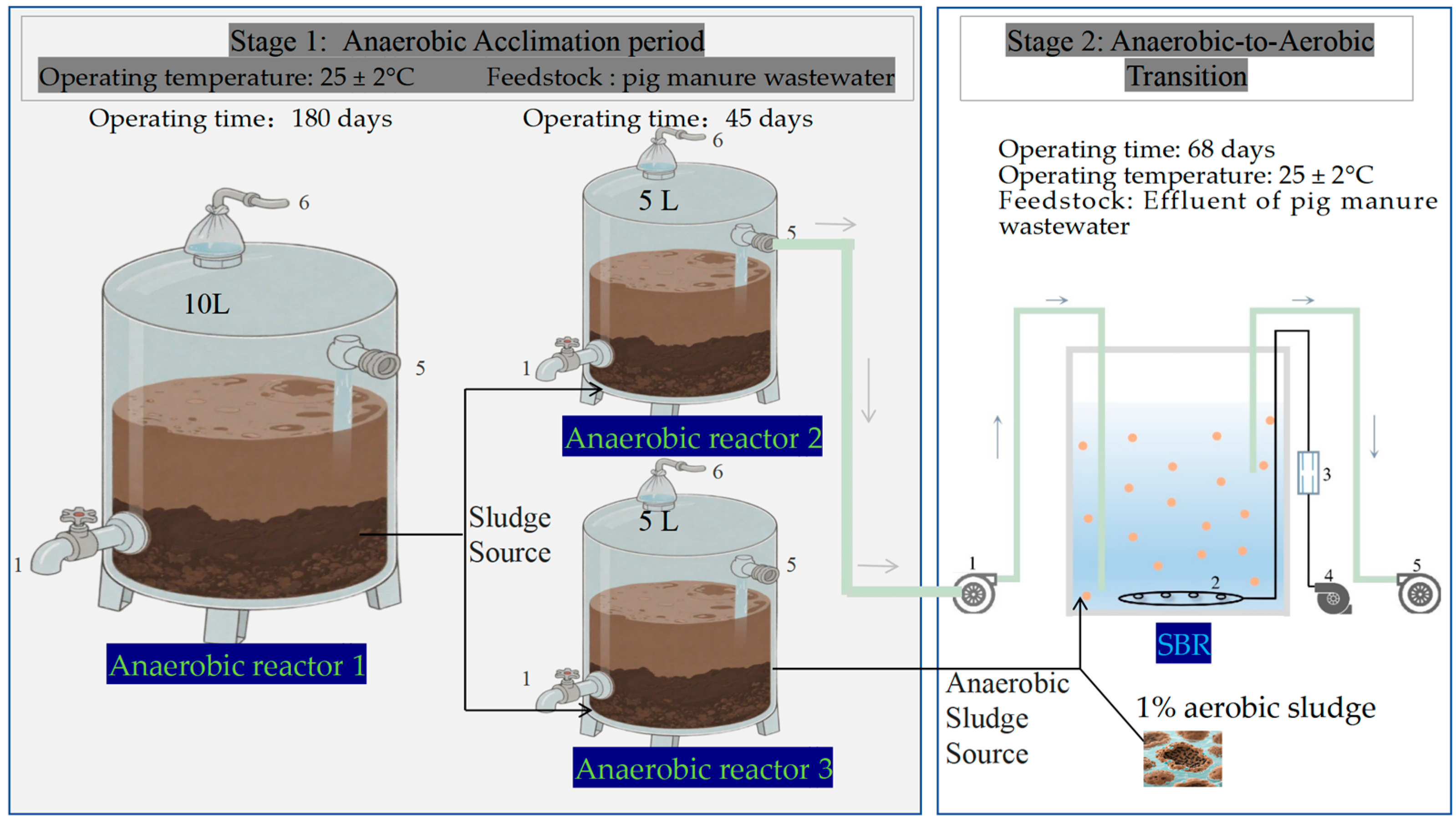 Microorganisms 13 02178 g001