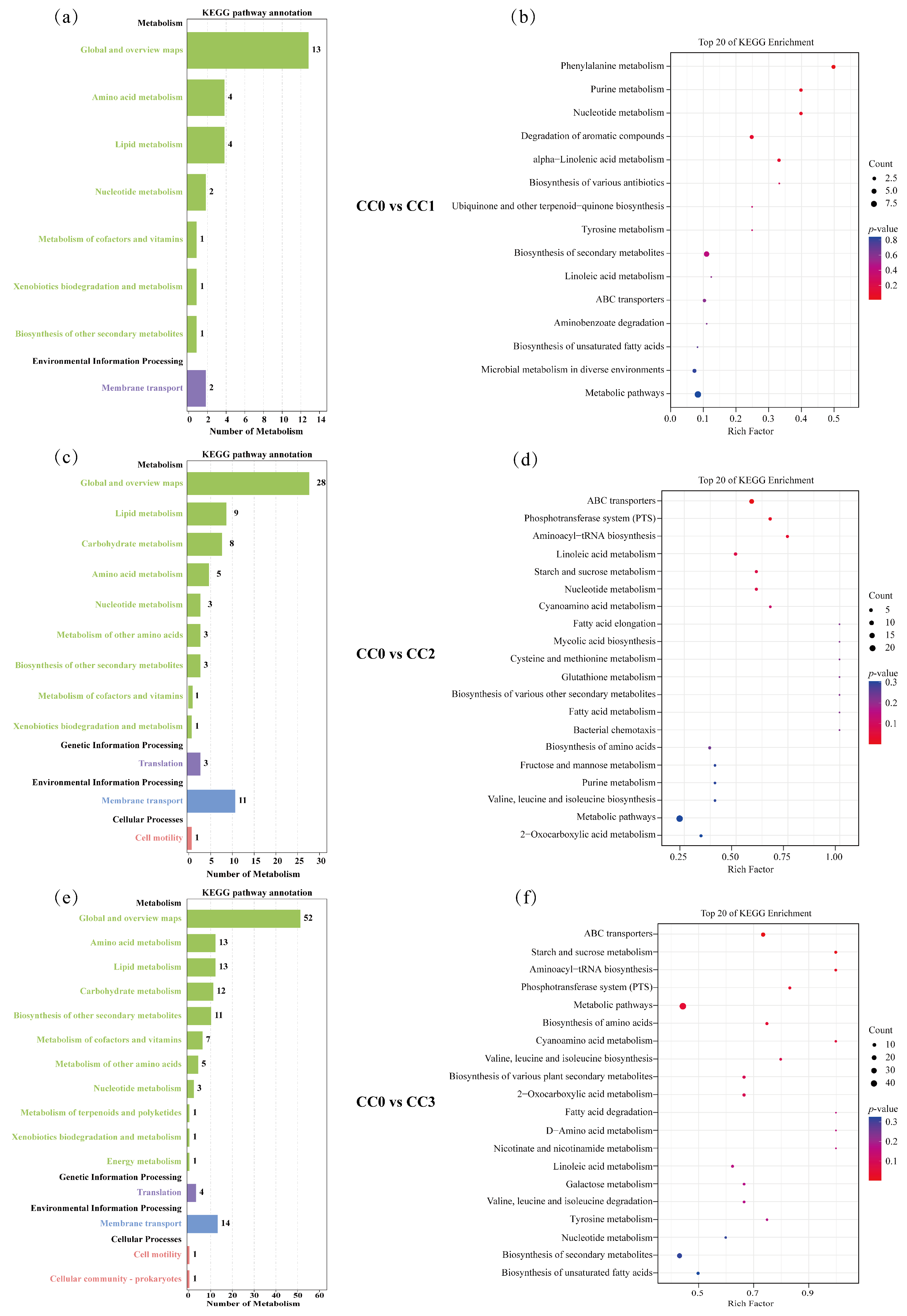 Microorganisms 13 02186 g007