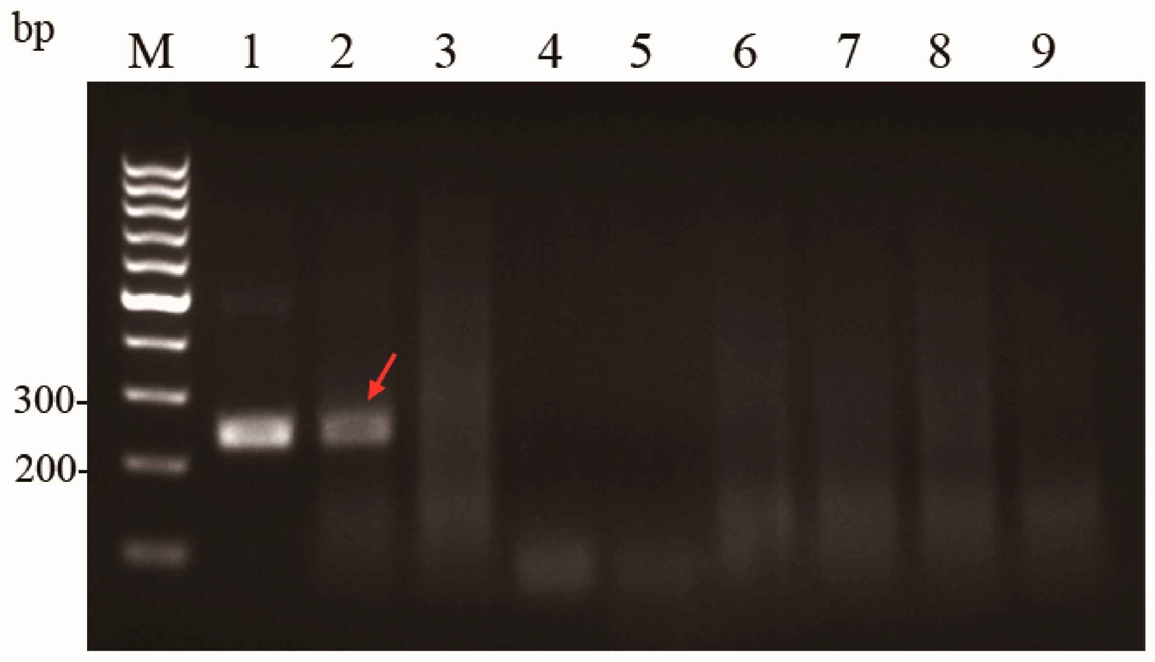 Microorganisms 13 02191 g003 Microorganisms 13 02191 g003