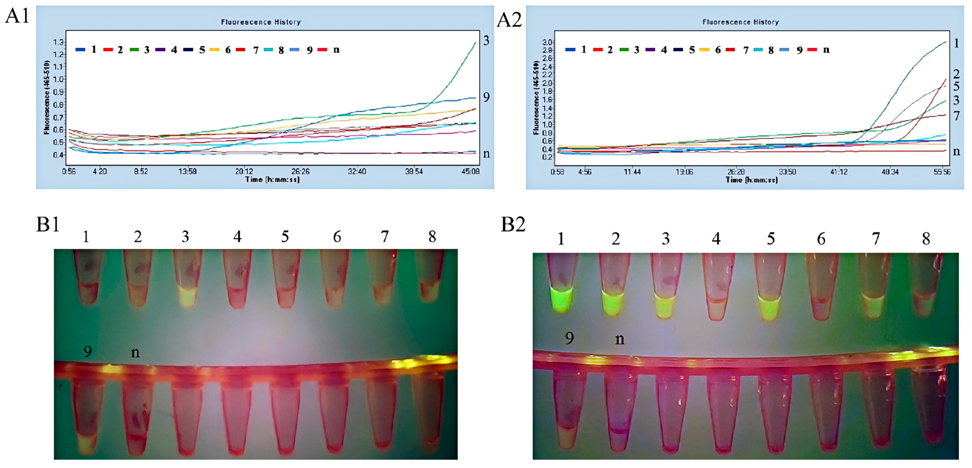 Microorganisms 13 02191 g005 Microorganisms 13 02191 g005