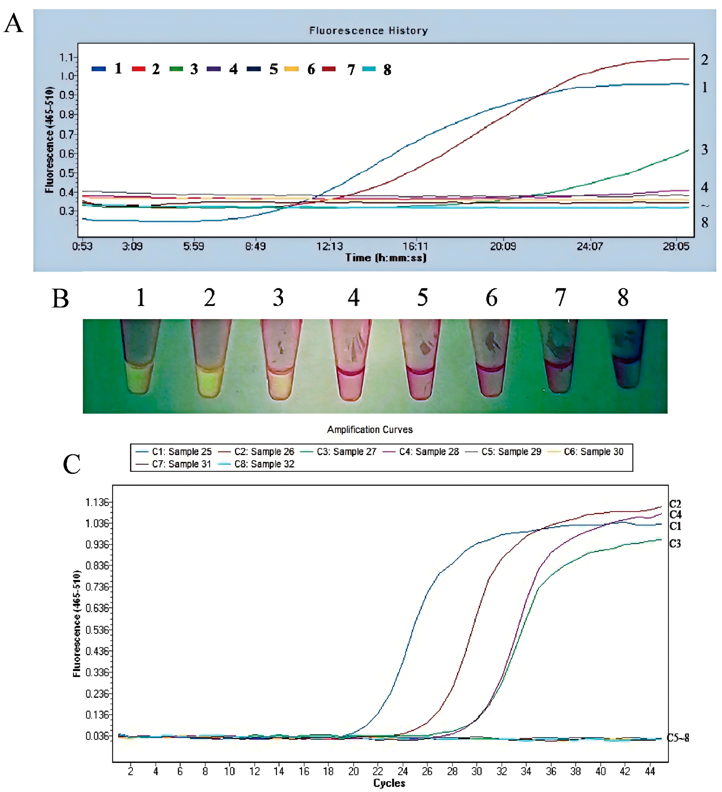 Microorganisms 13 02191 g007 Microorganisms 13 02191 g007