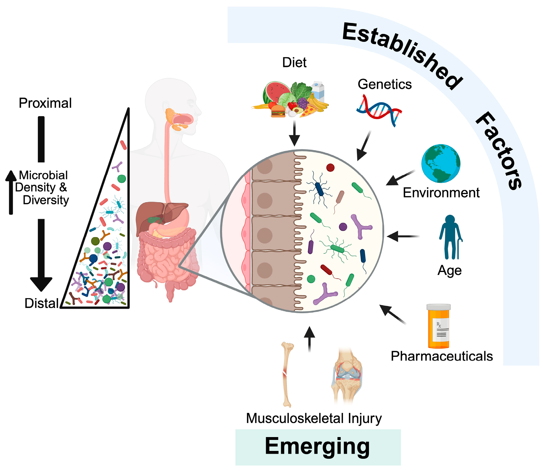 Microorganisms 13 02193 g001