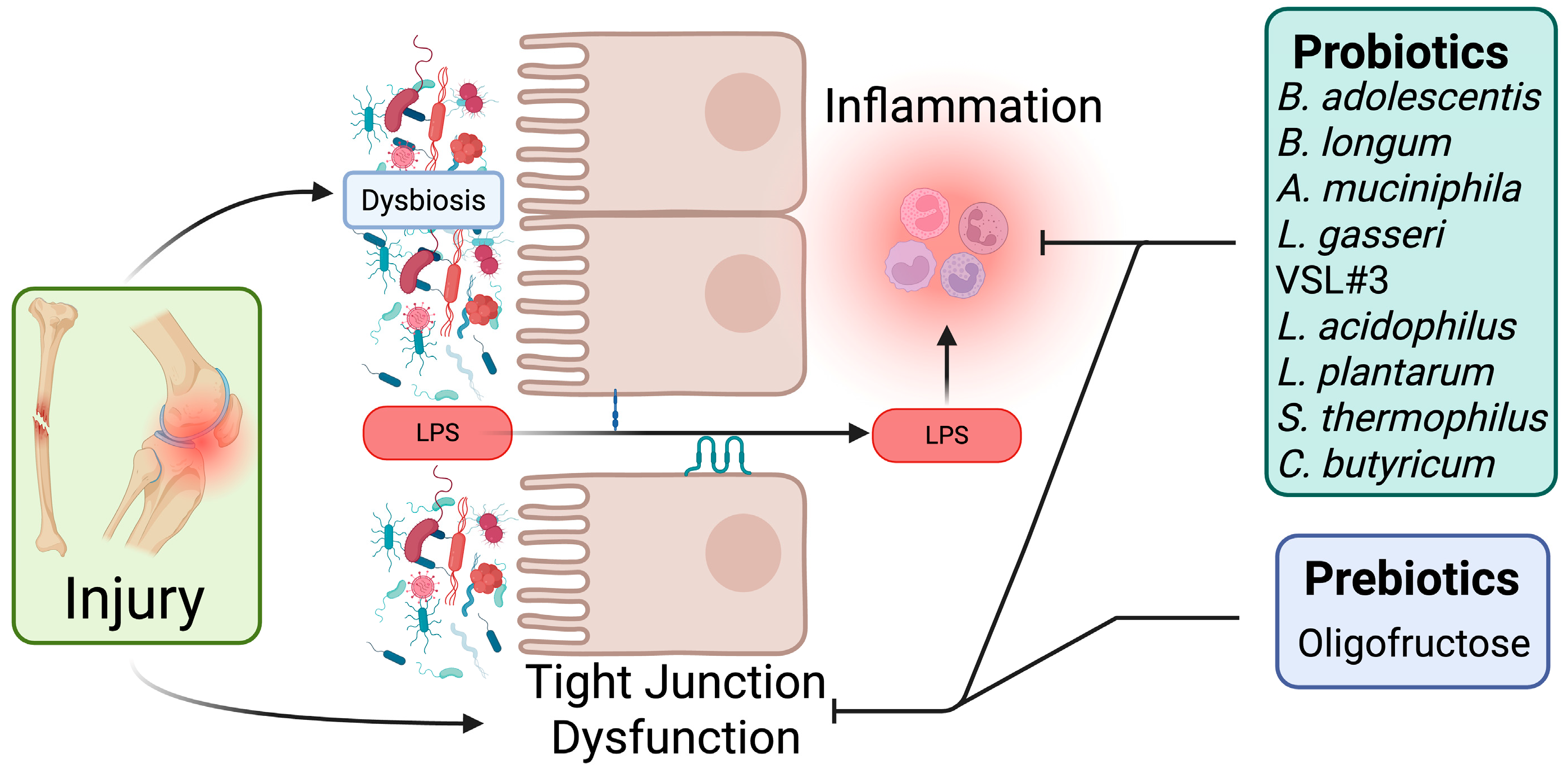 Microorganisms 13 02193 g002