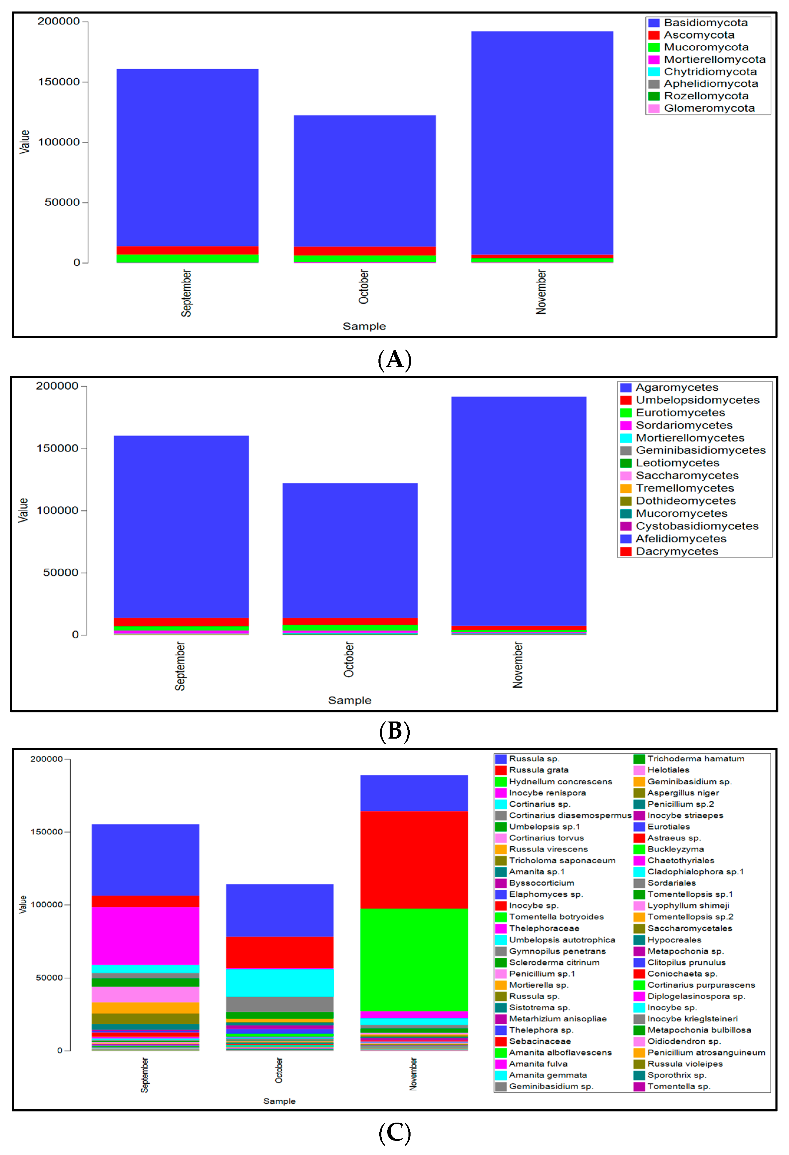 Microorganisms 13 02196 g005