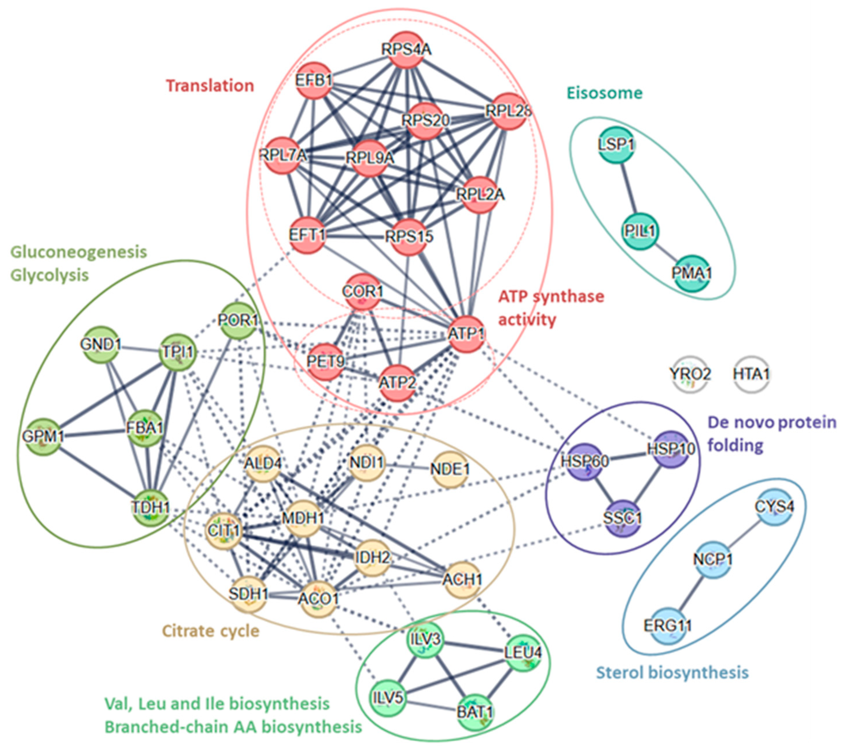 Microorganisms 13 02200 g004 Microorganisms 13 02200 g004
