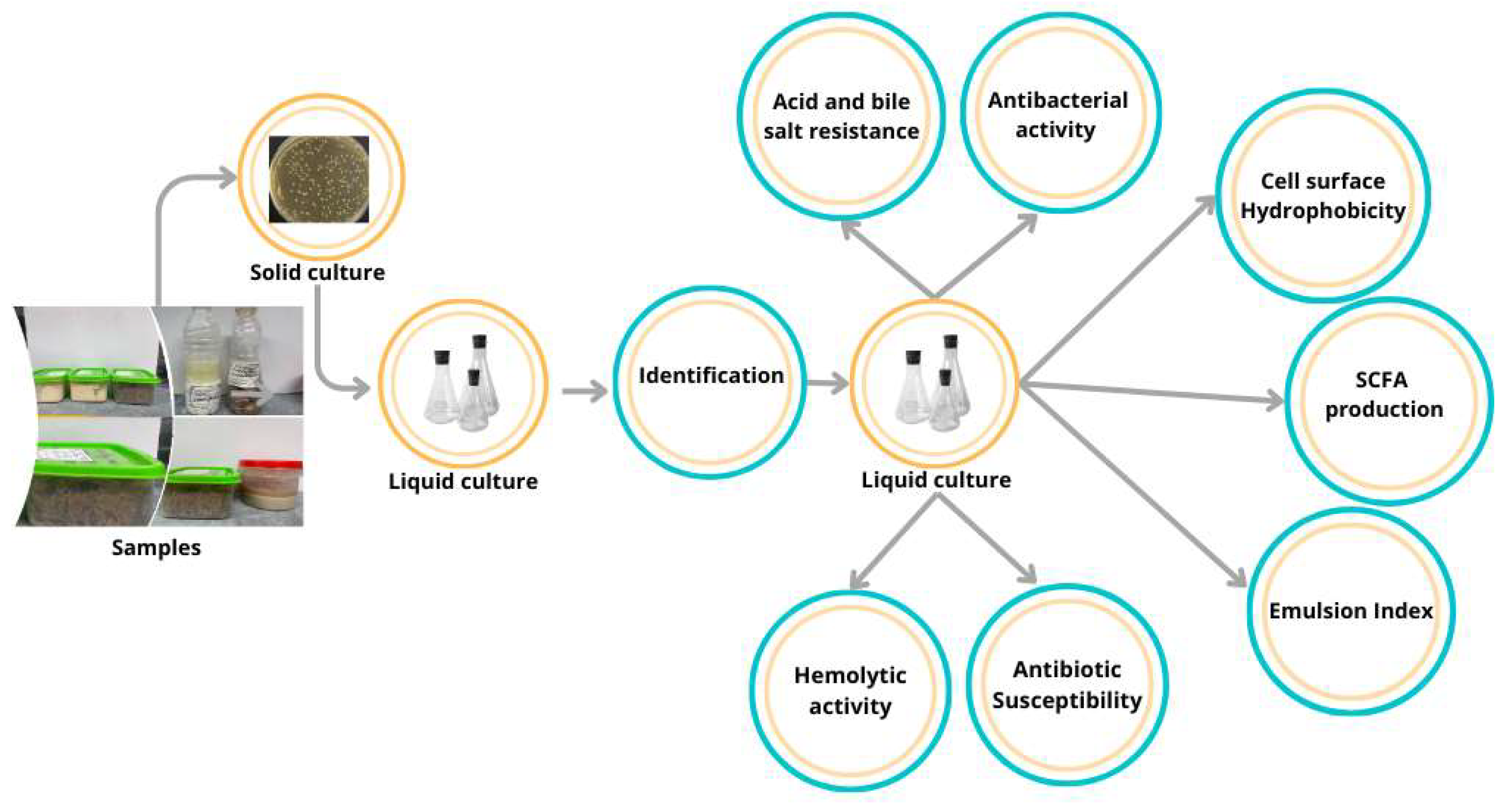 Microorganisms 13 02201 g001
