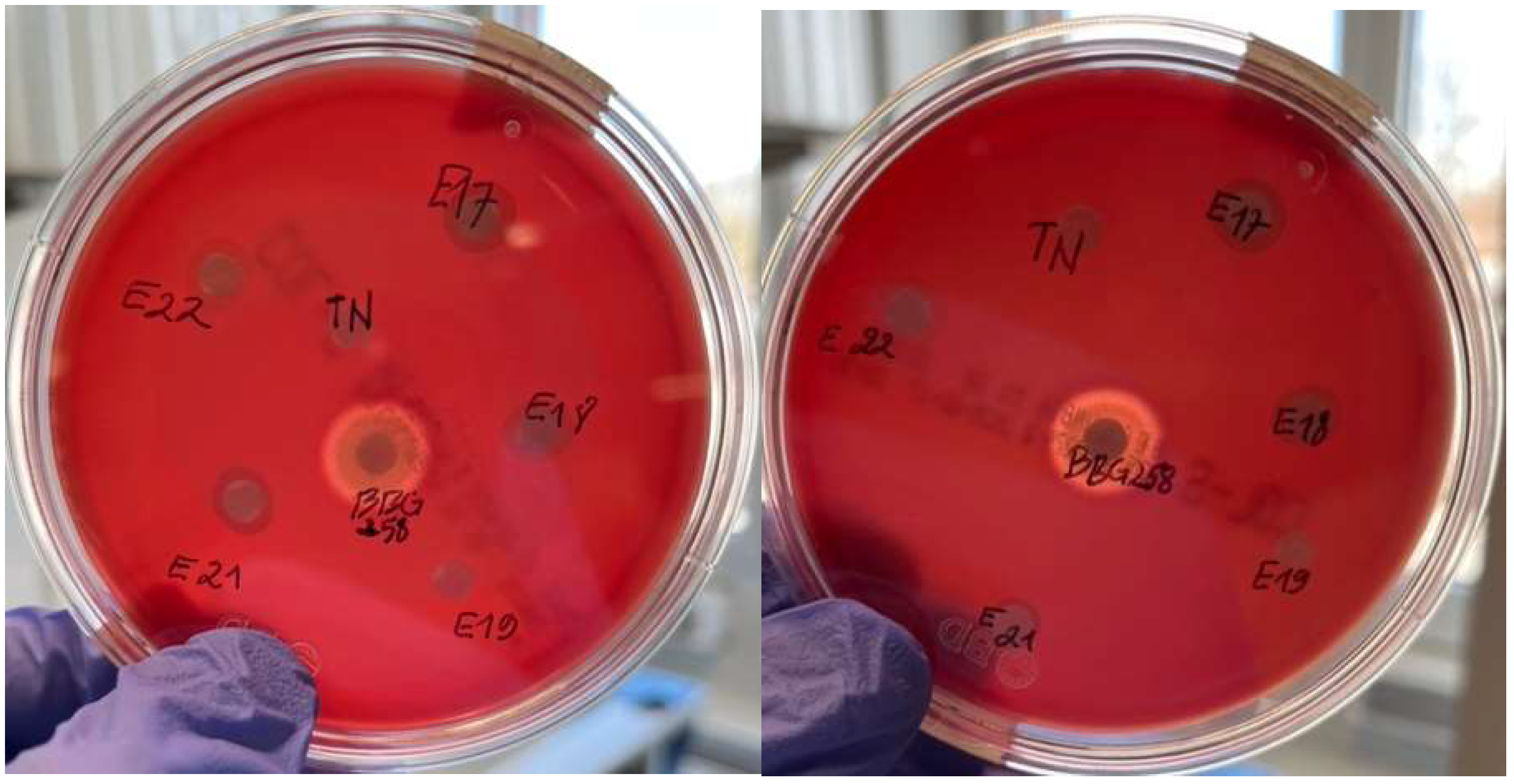 Microorganisms 13 02201 g009