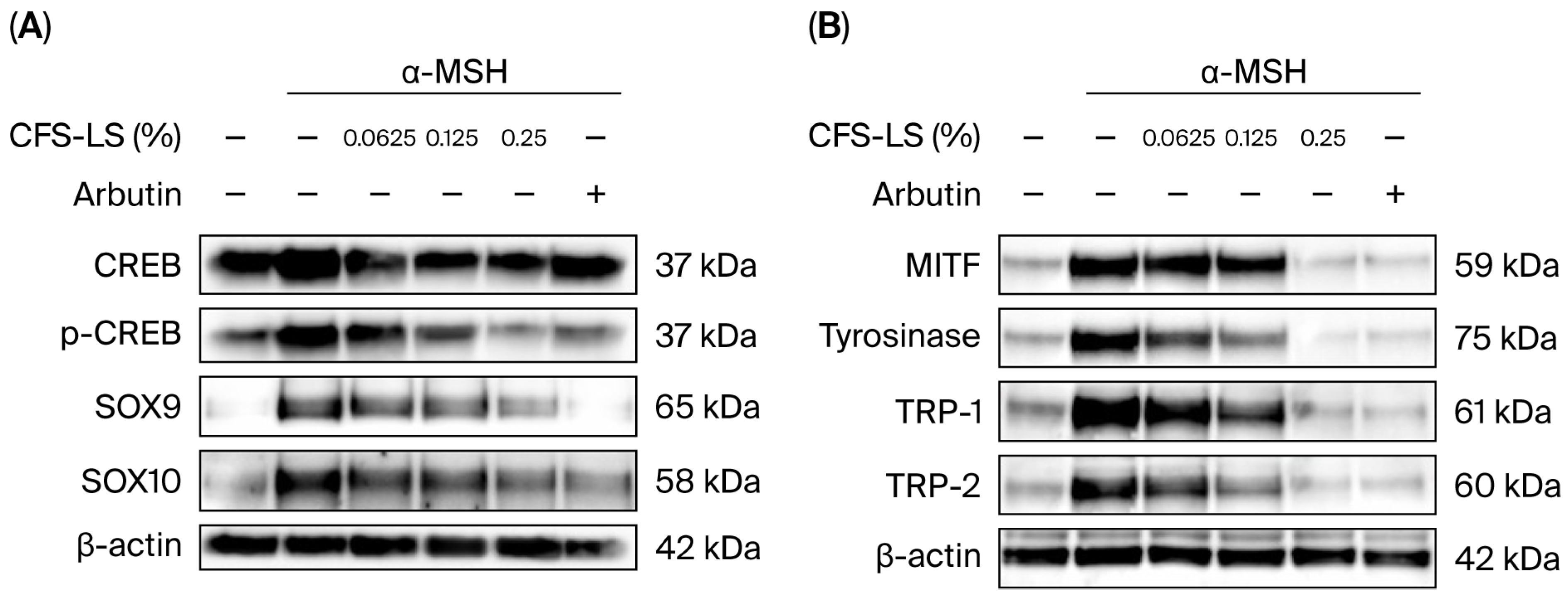 Microorganisms 13 02207 g003