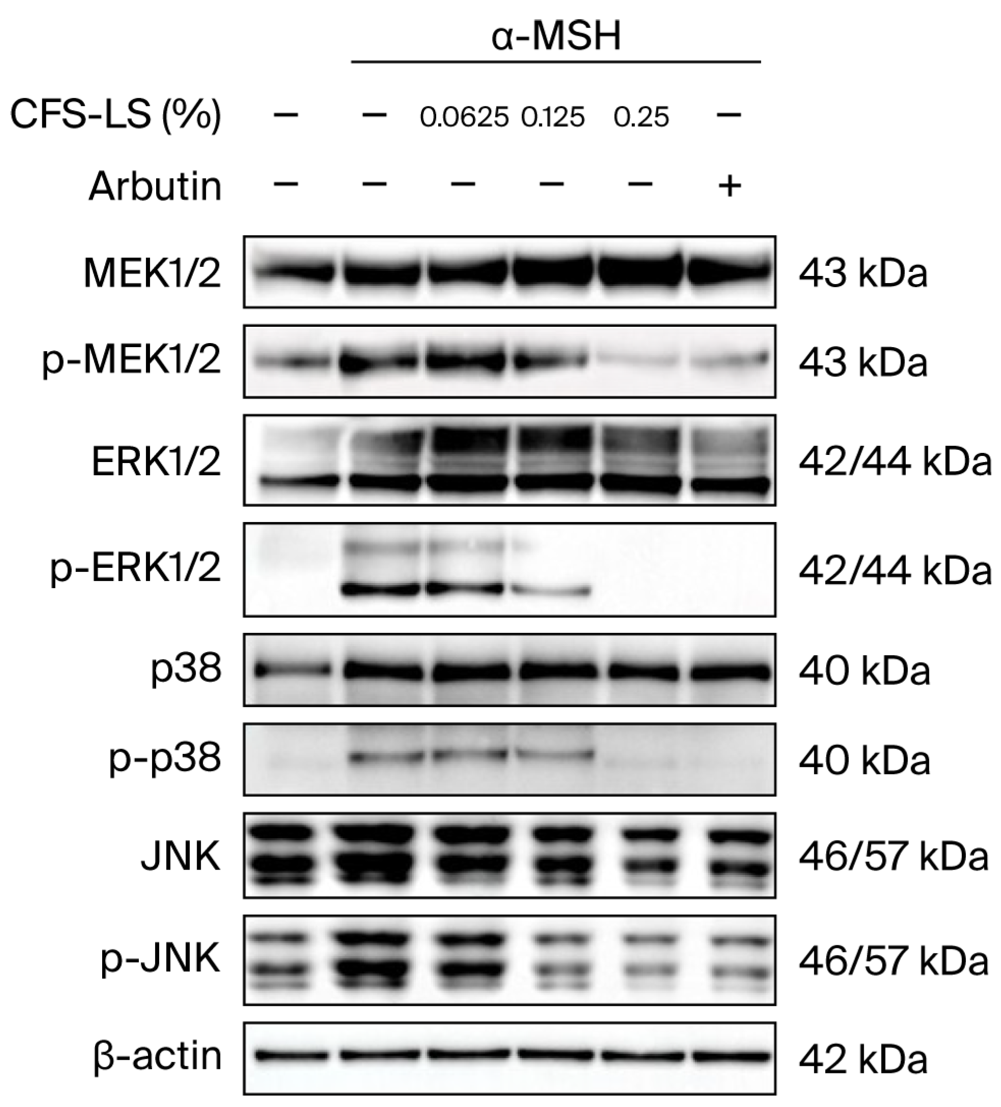 Microorganisms 13 02207 g004