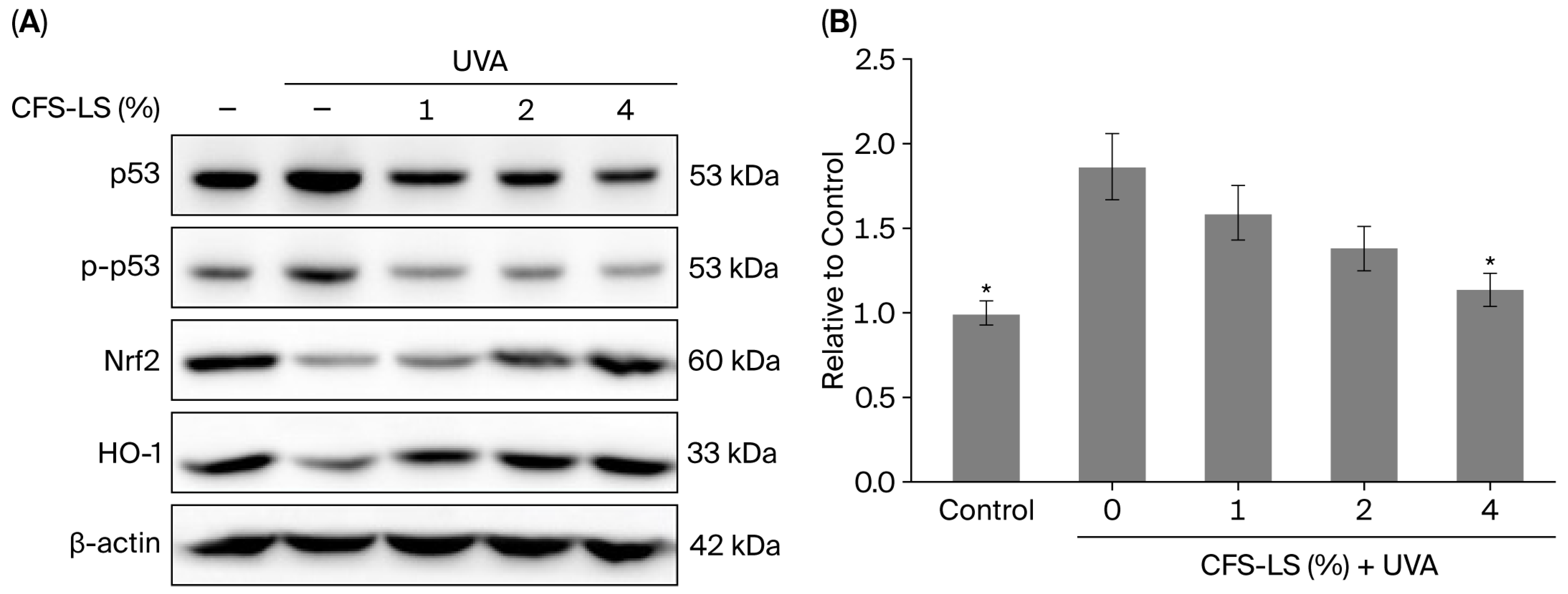 Microorganisms 13 02207 g006