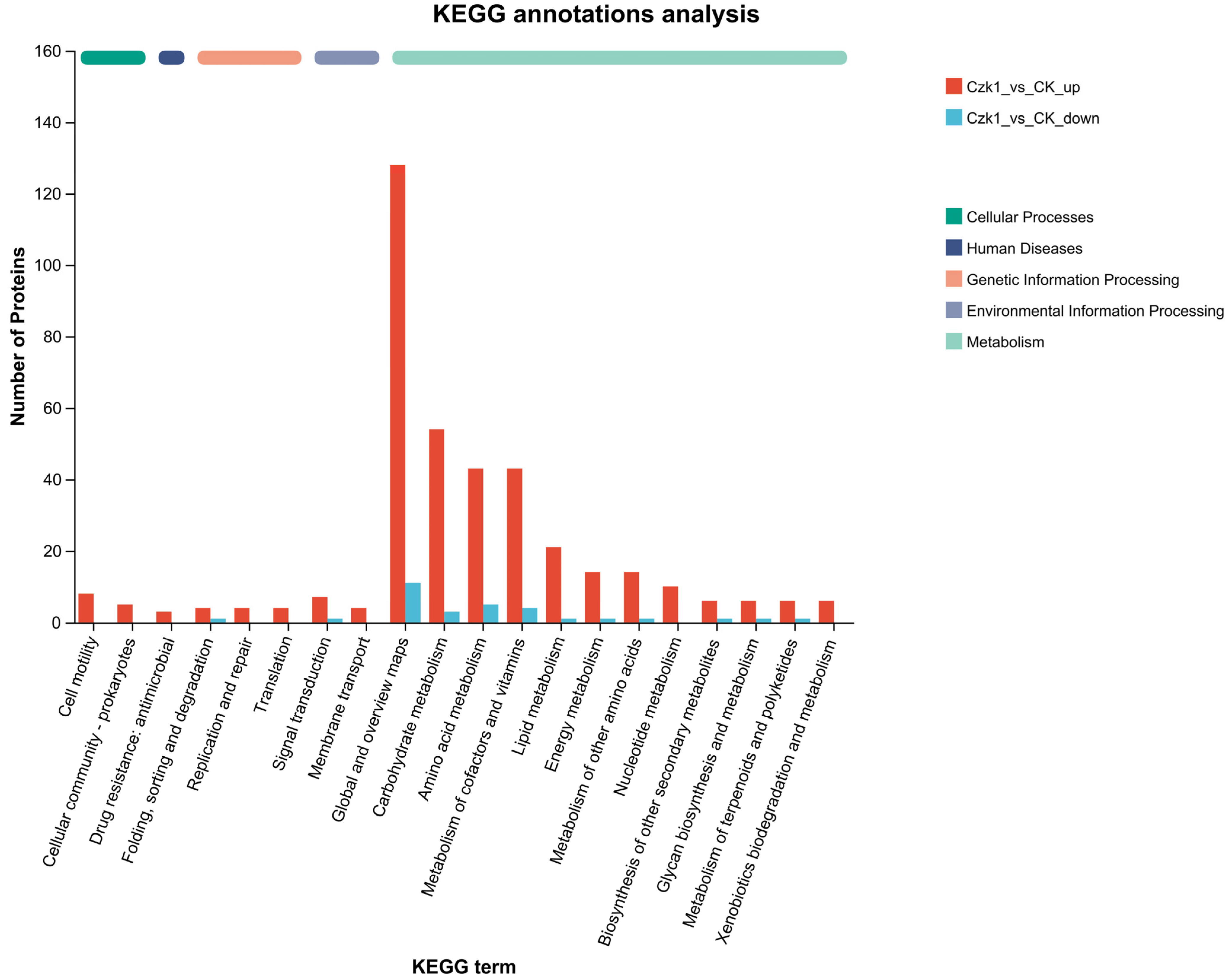 Microorganisms 13 02212 g008