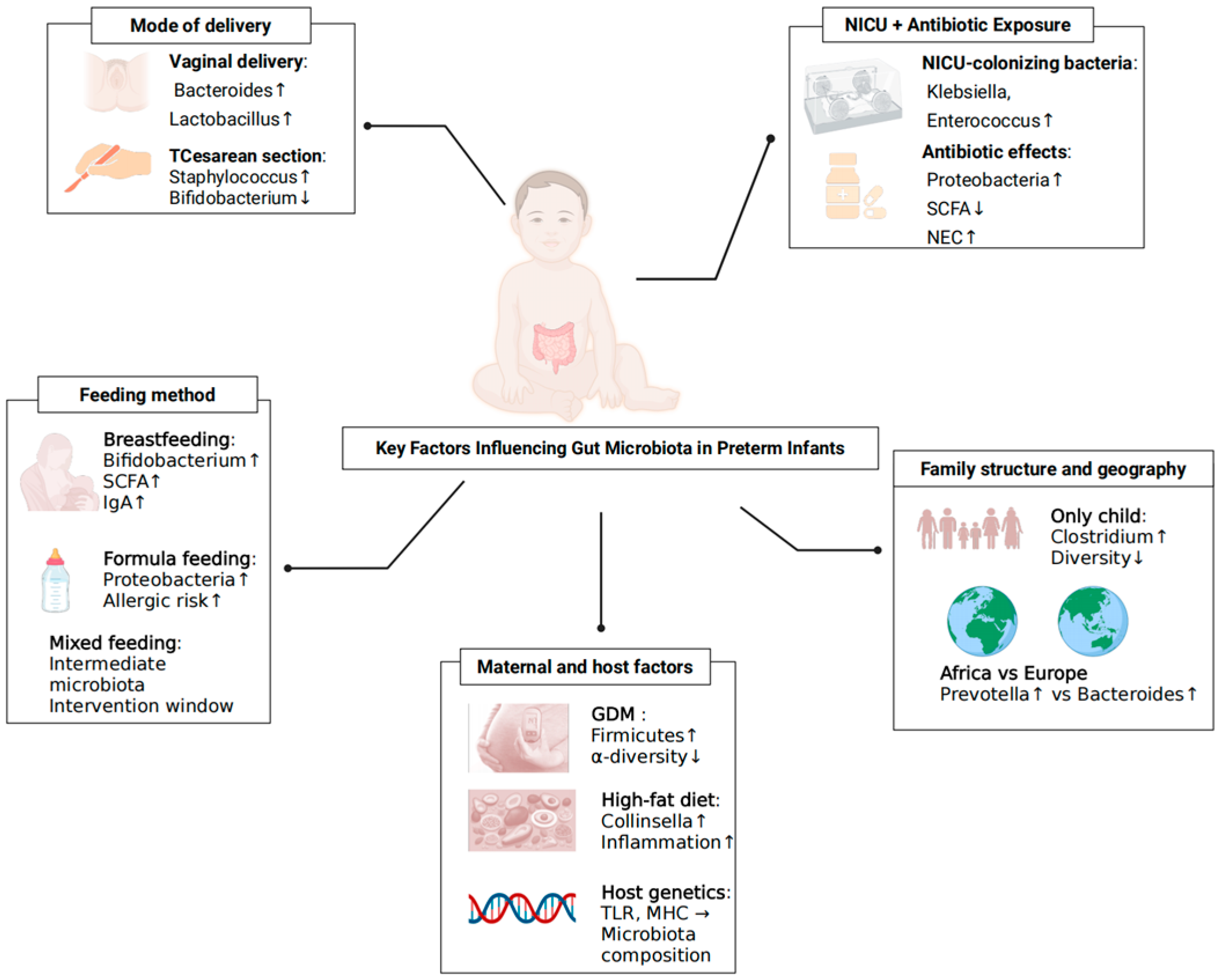 Microorganisms 13 02213 g001 Microorganisms 13 02213 g001