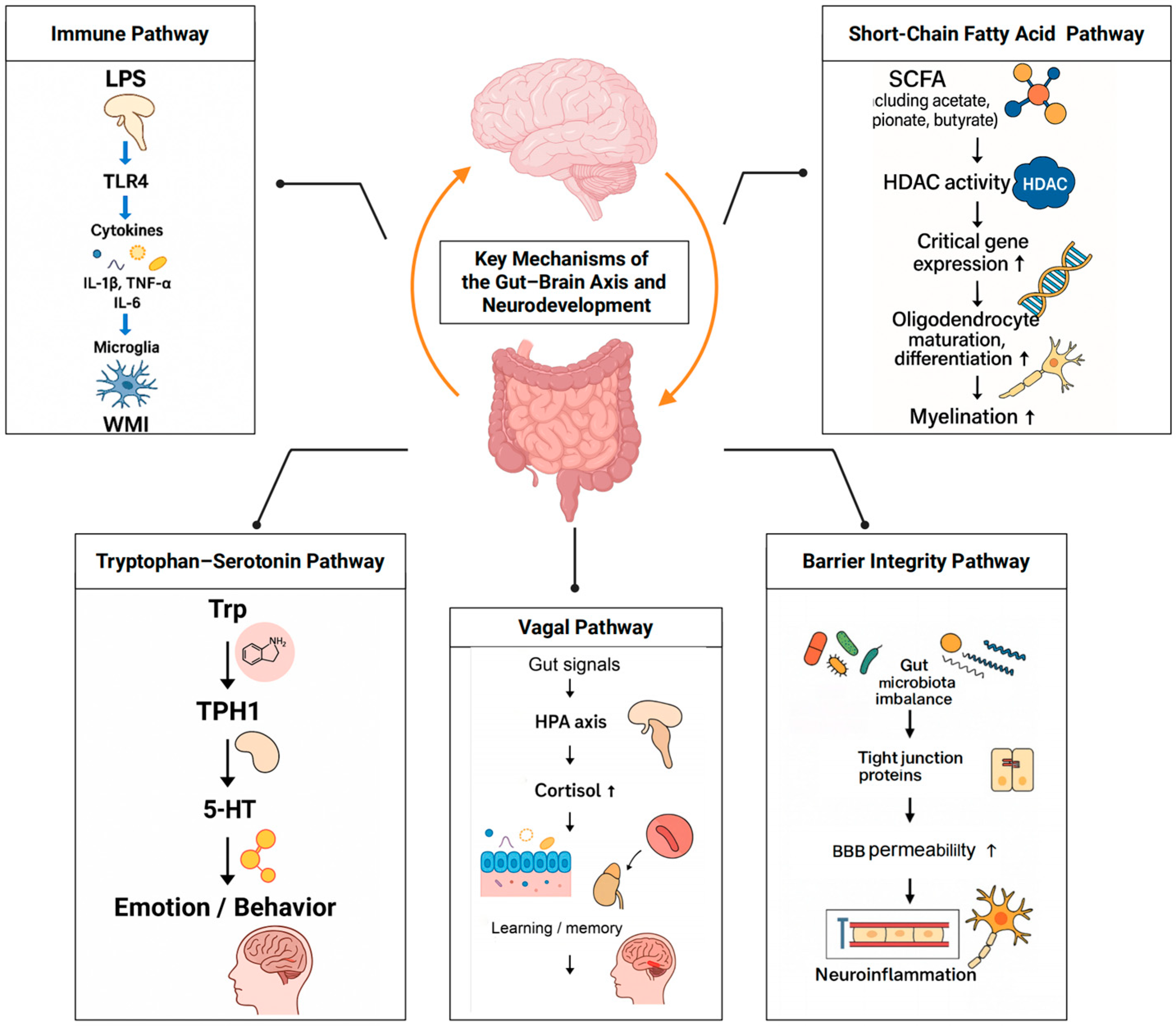 Microorganisms 13 02213 g002 Microorganisms 13 02213 g002
