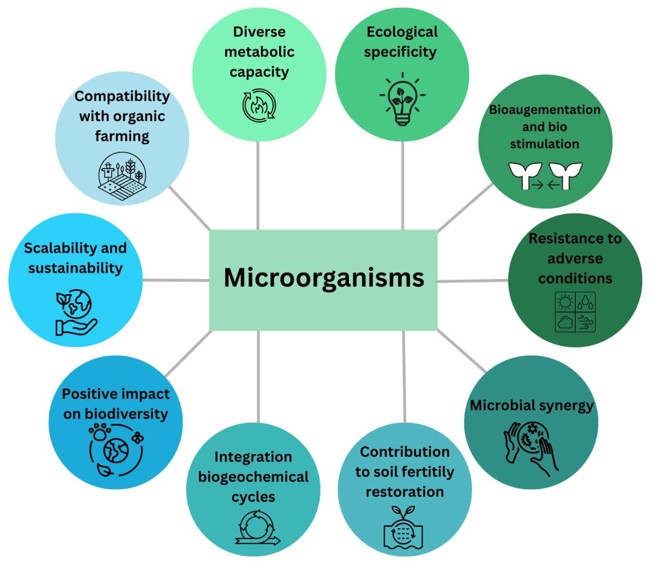 Microorganisms 13 02217 g006