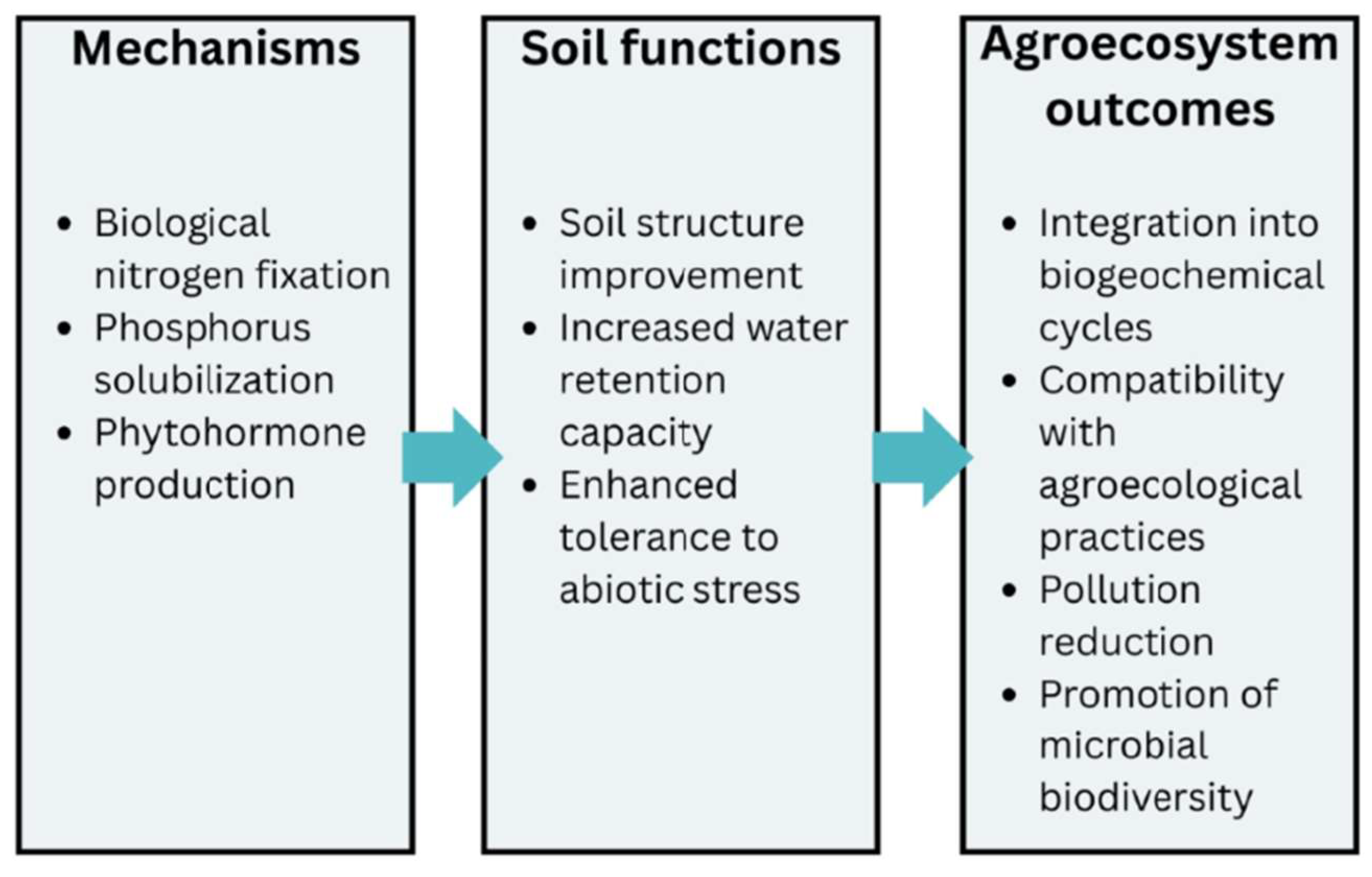 Microorganisms 13 02217 g007