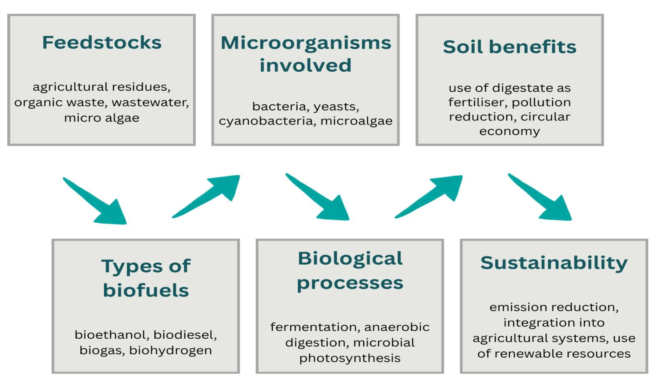 Microorganisms 13 02217 g008