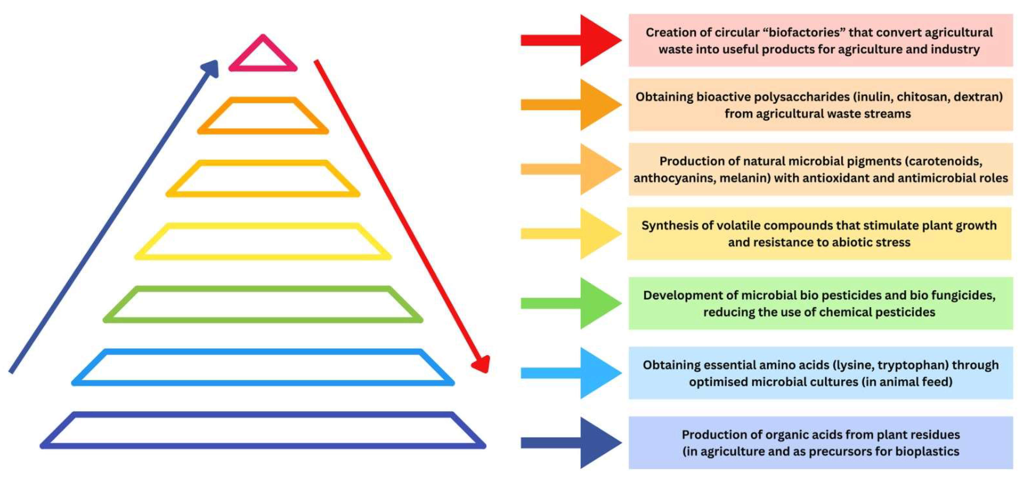Microorganisms 13 02217 g009