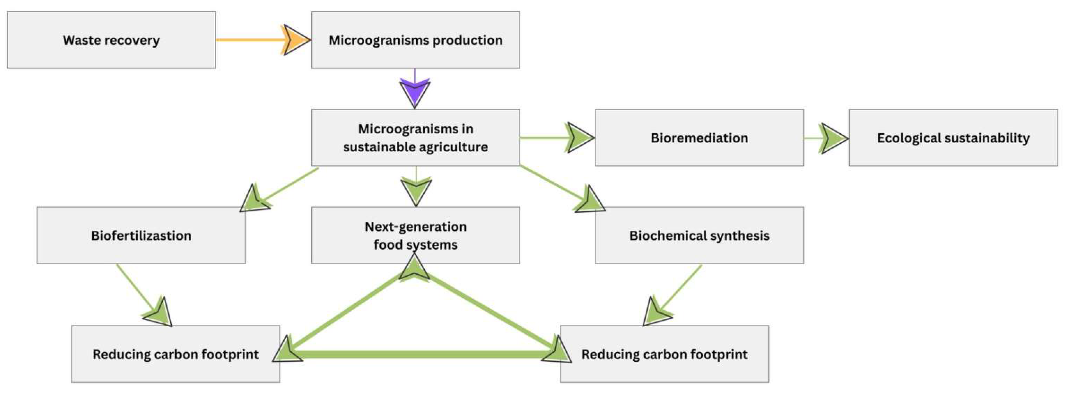 Microorganisms 13 02217 g011