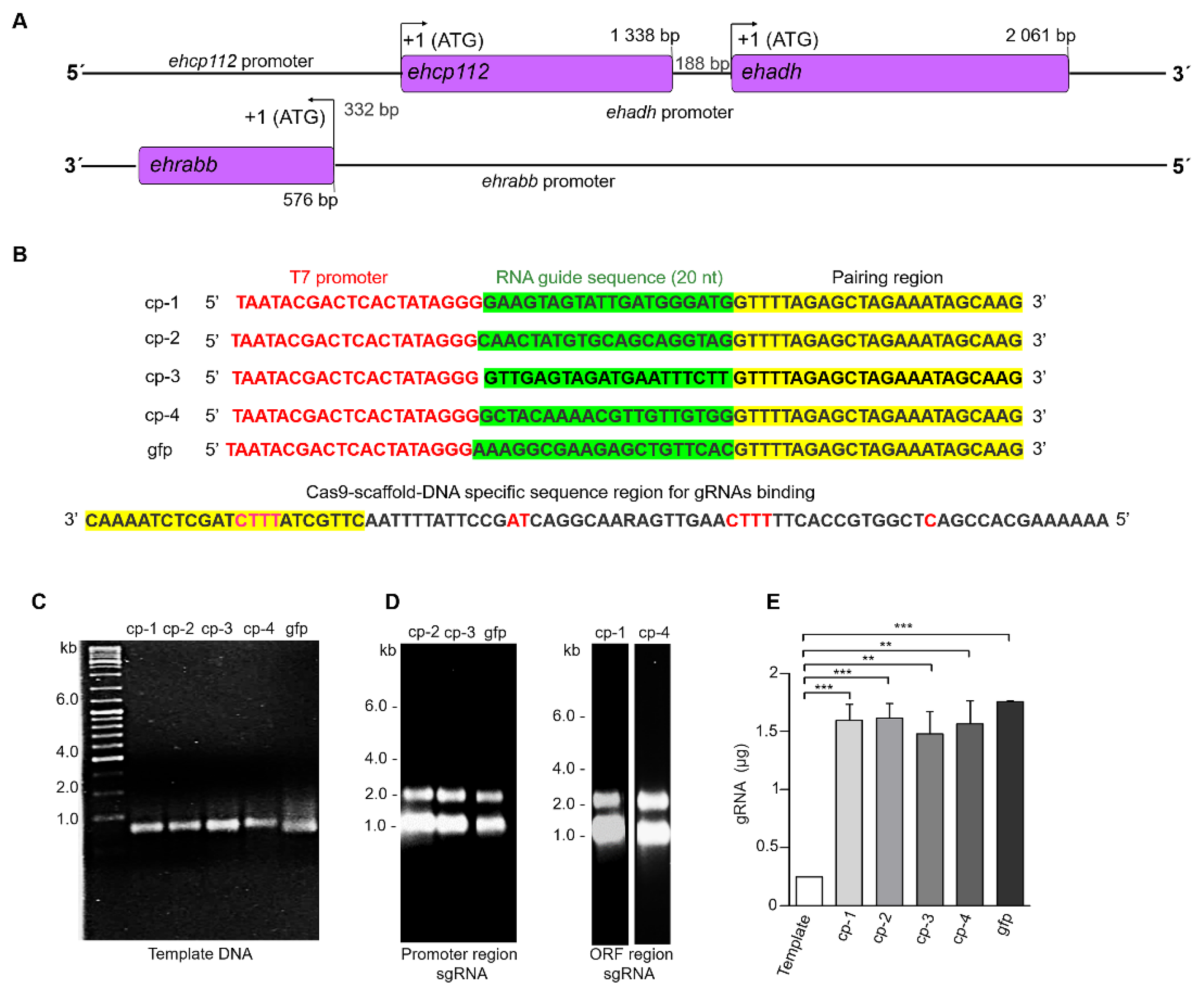 Microorganisms 13 02219 g001