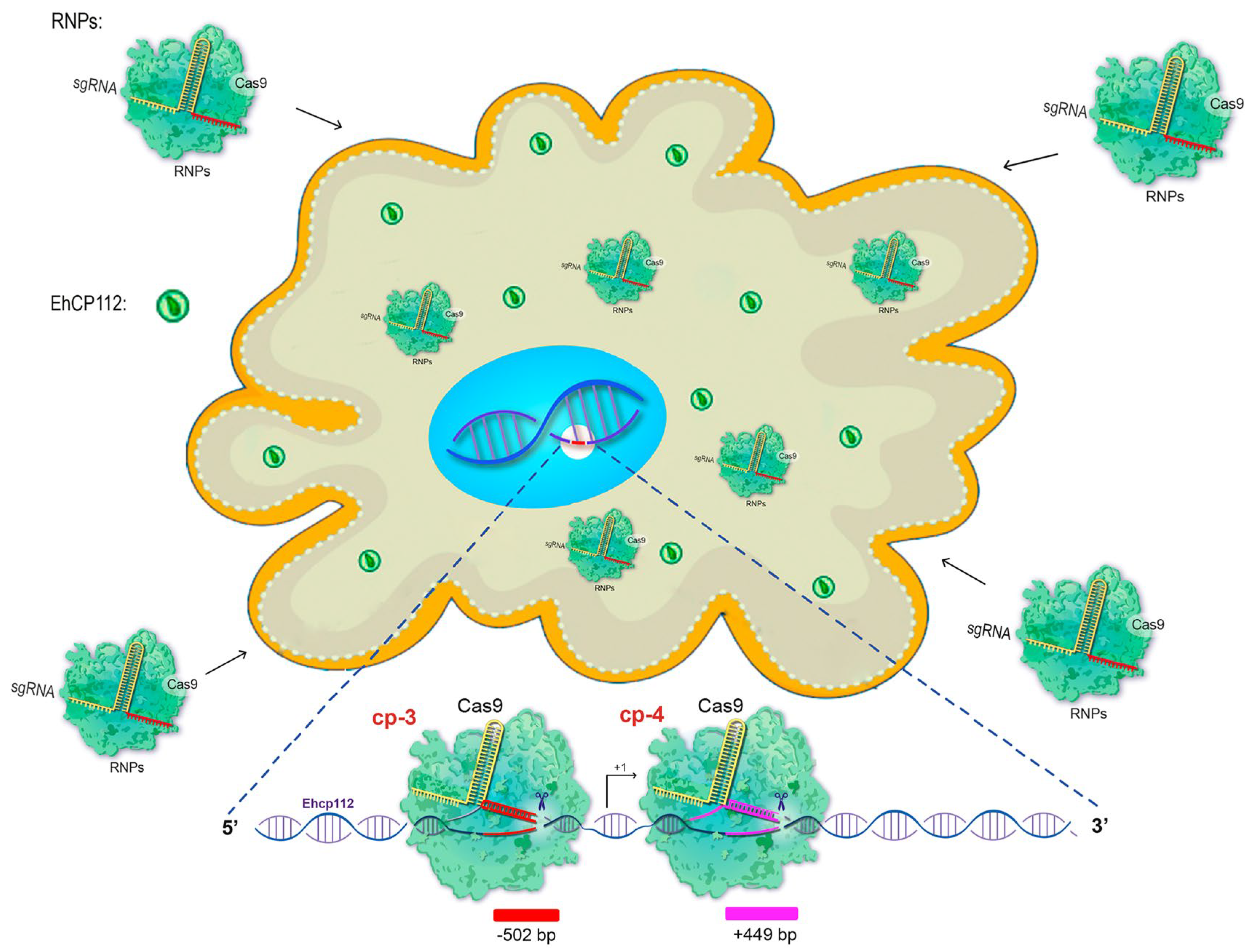 Microorganisms 13 02219 g003