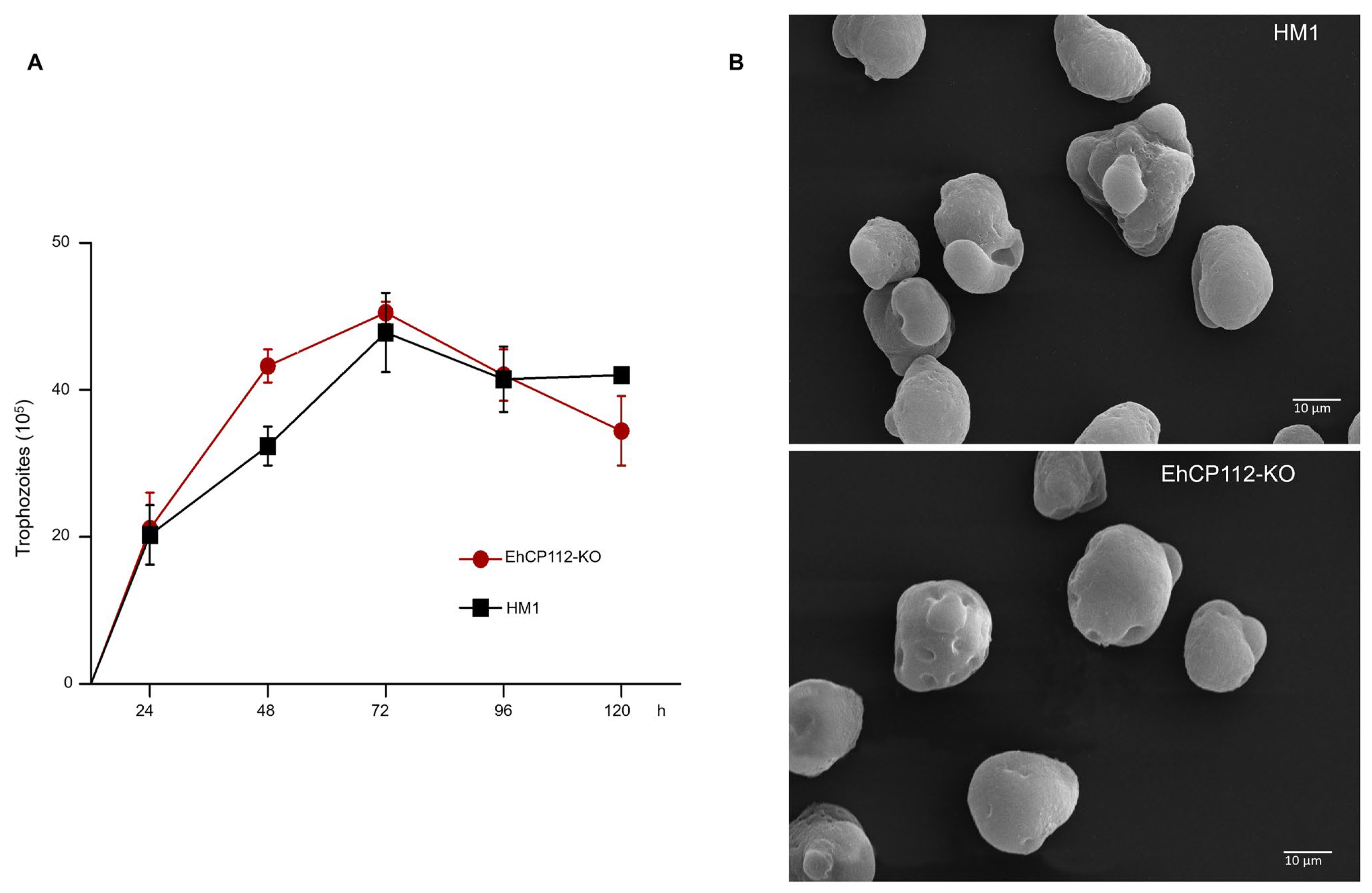 Microorganisms 13 02219 g006