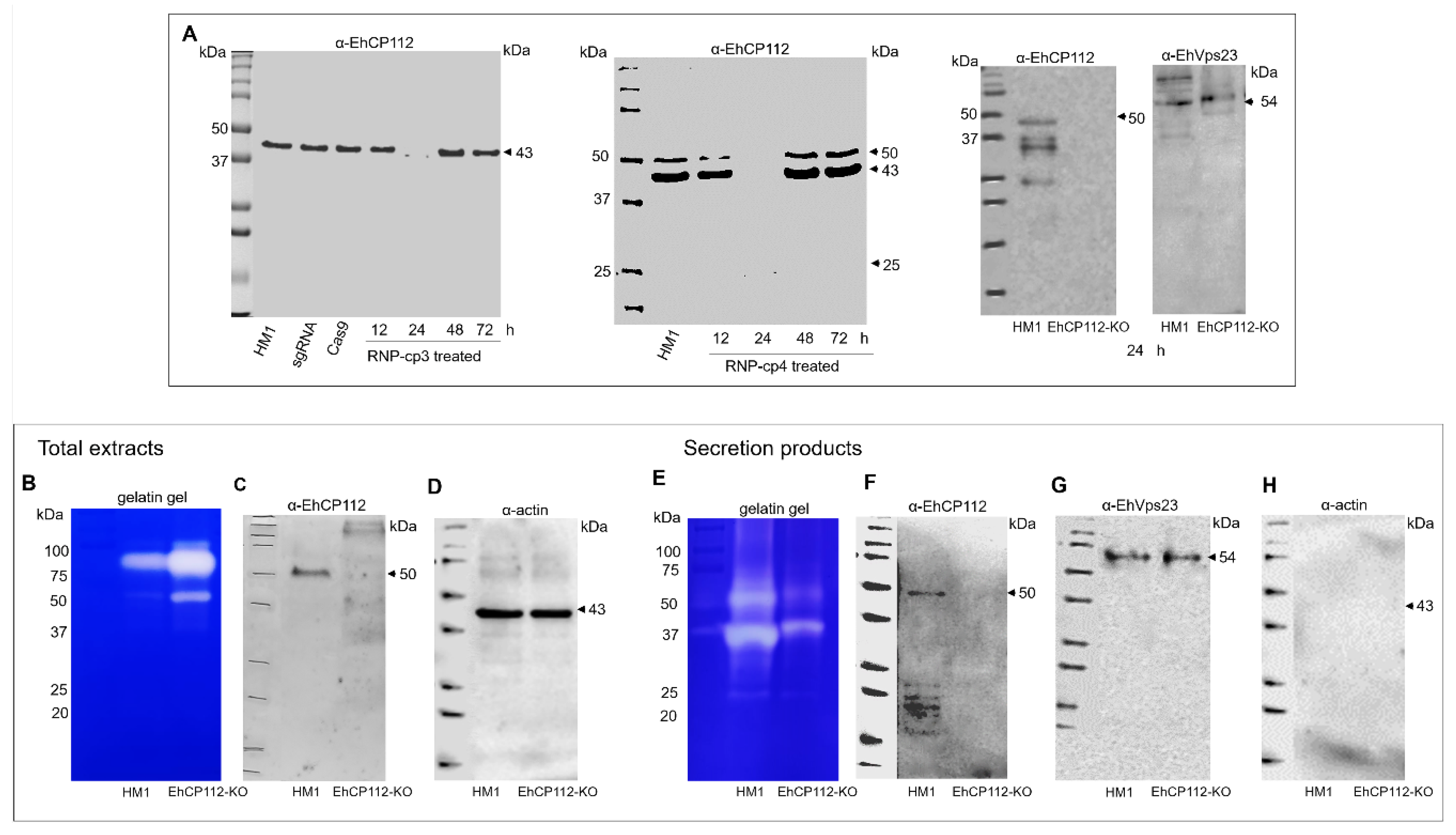 Microorganisms 13 02219 g008