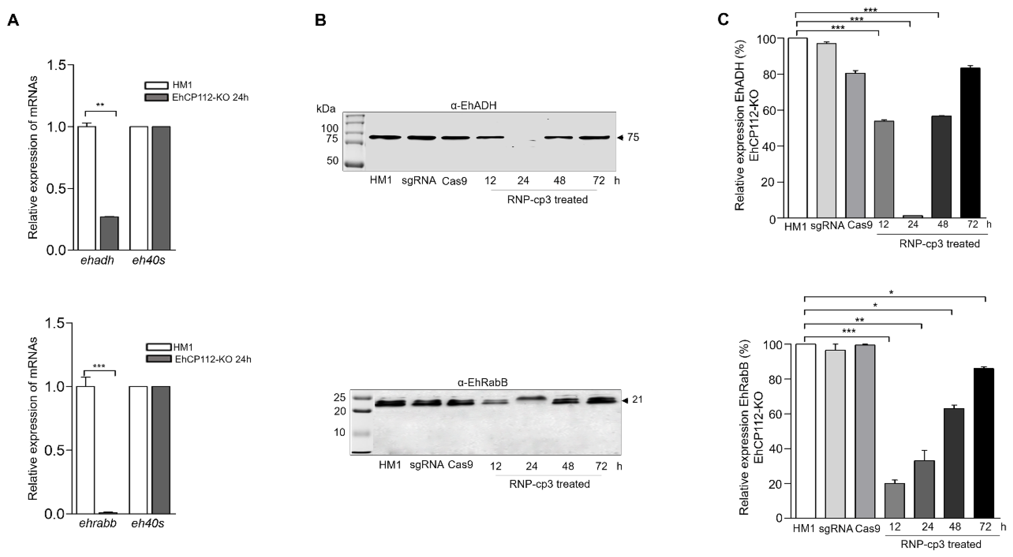 Microorganisms 13 02219 g009