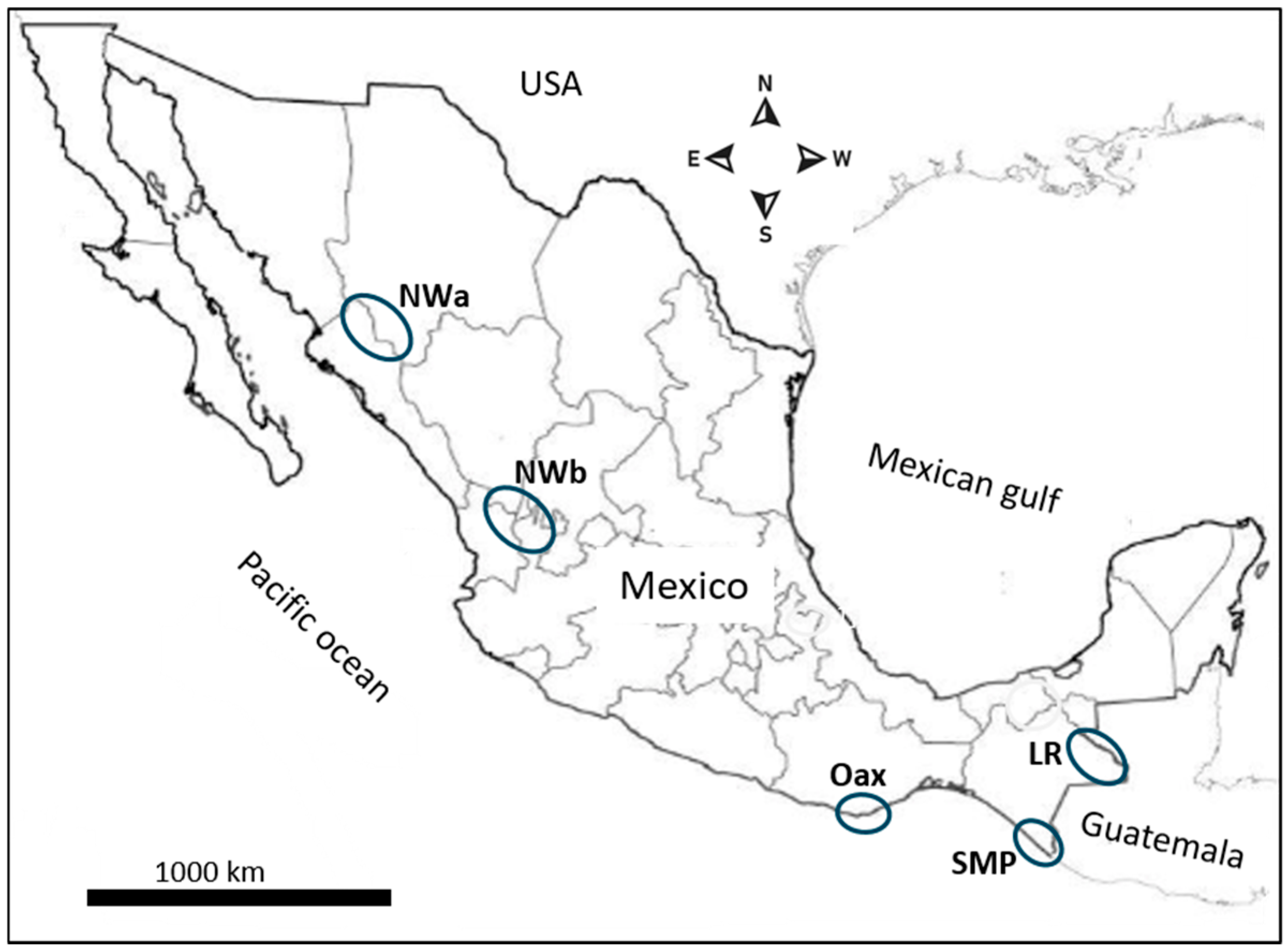 Microorganisms 13 02221 g001