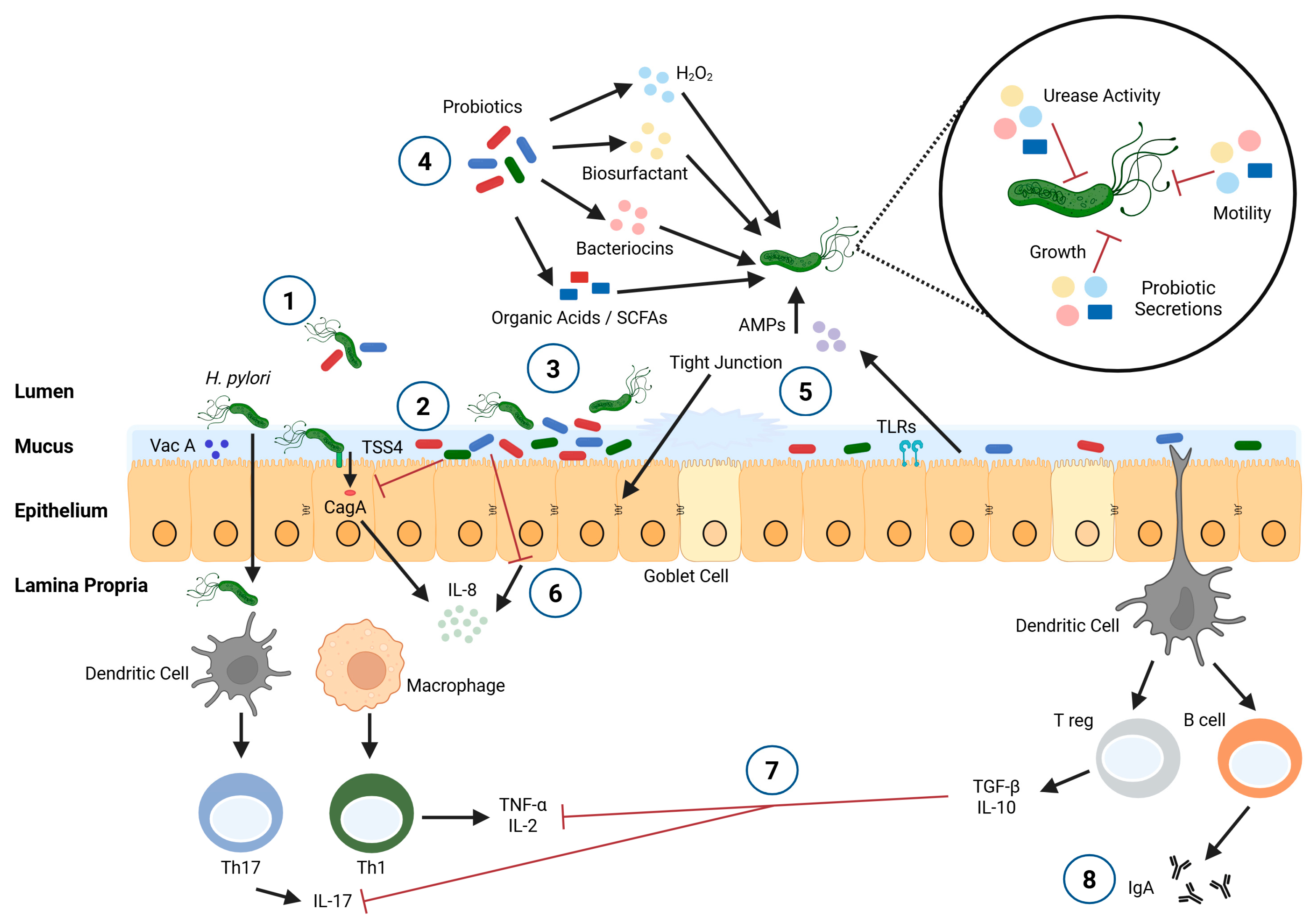 Microorganisms 13 02223 g001