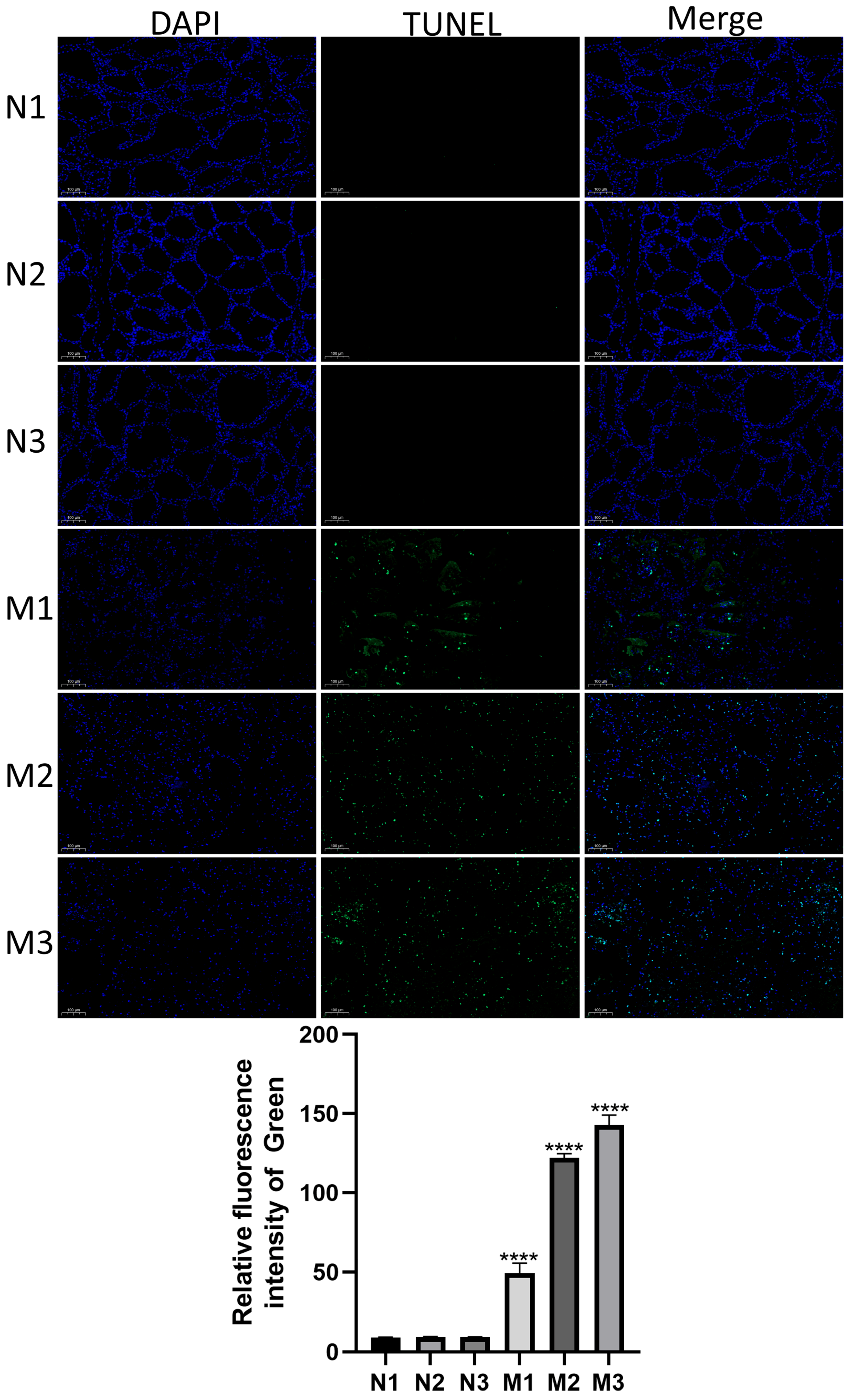 Microorganisms 13 02226 g002 Microorganisms 13 02226 g002