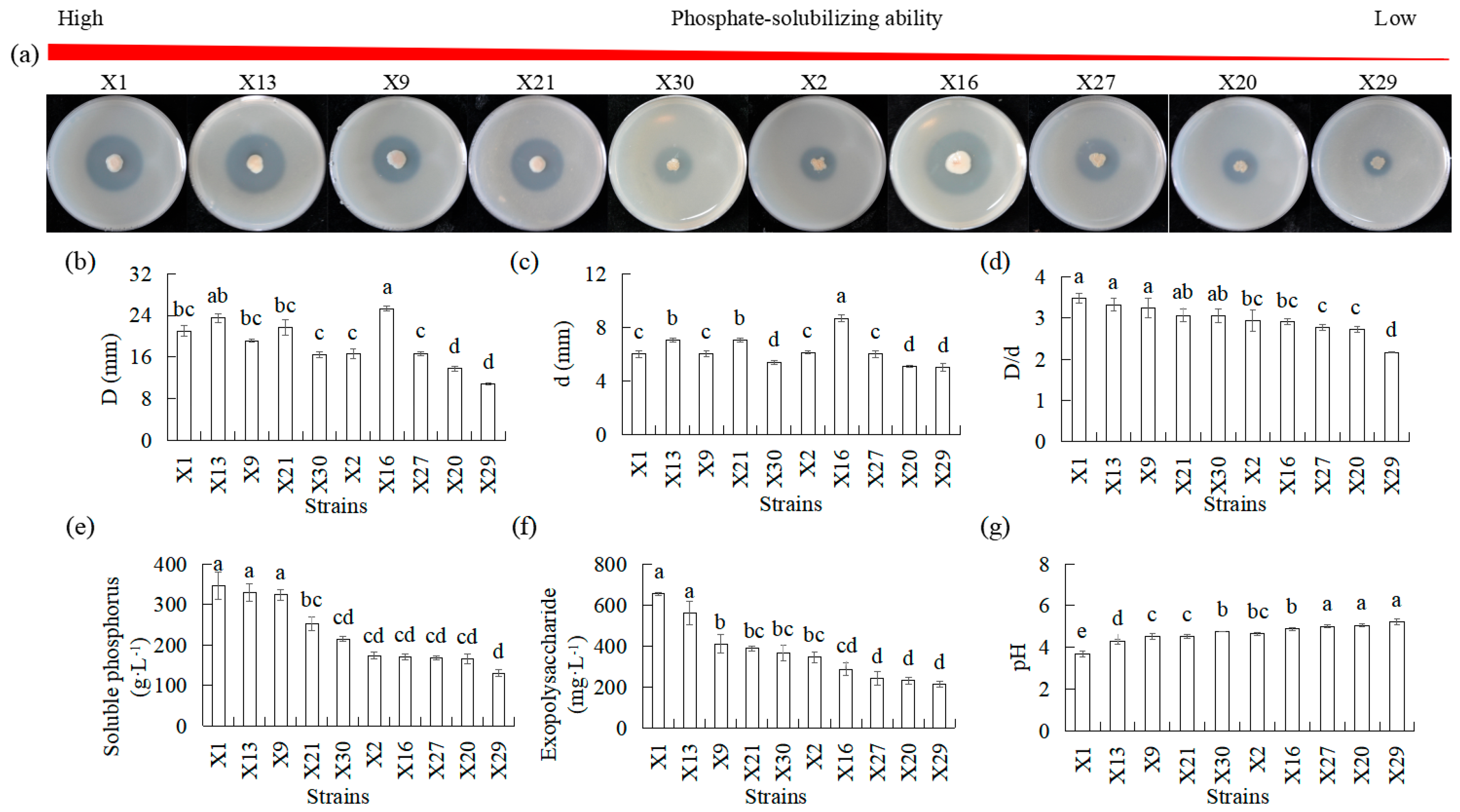 Microorganisms 13 02229 g001