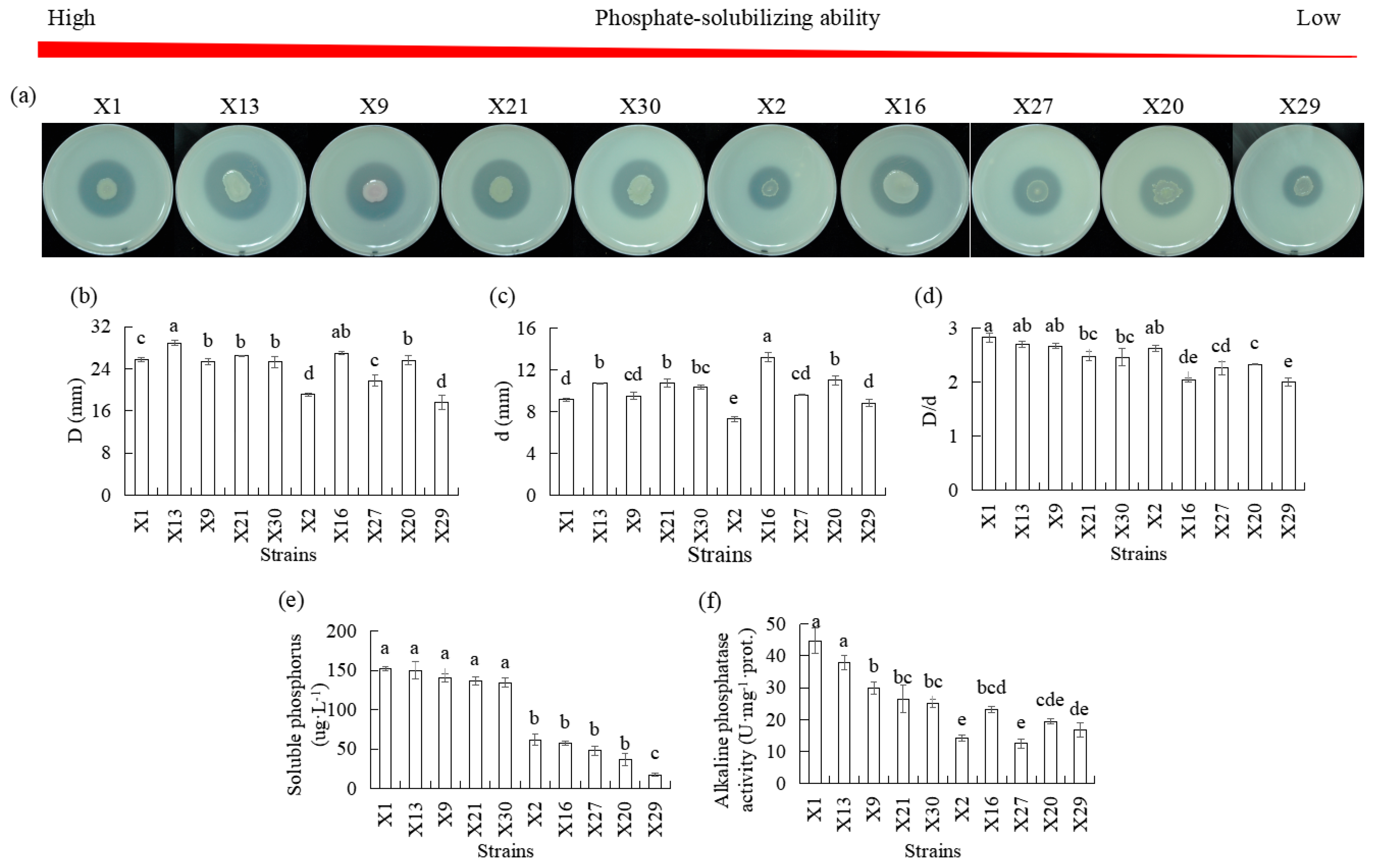 Microorganisms 13 02229 g002