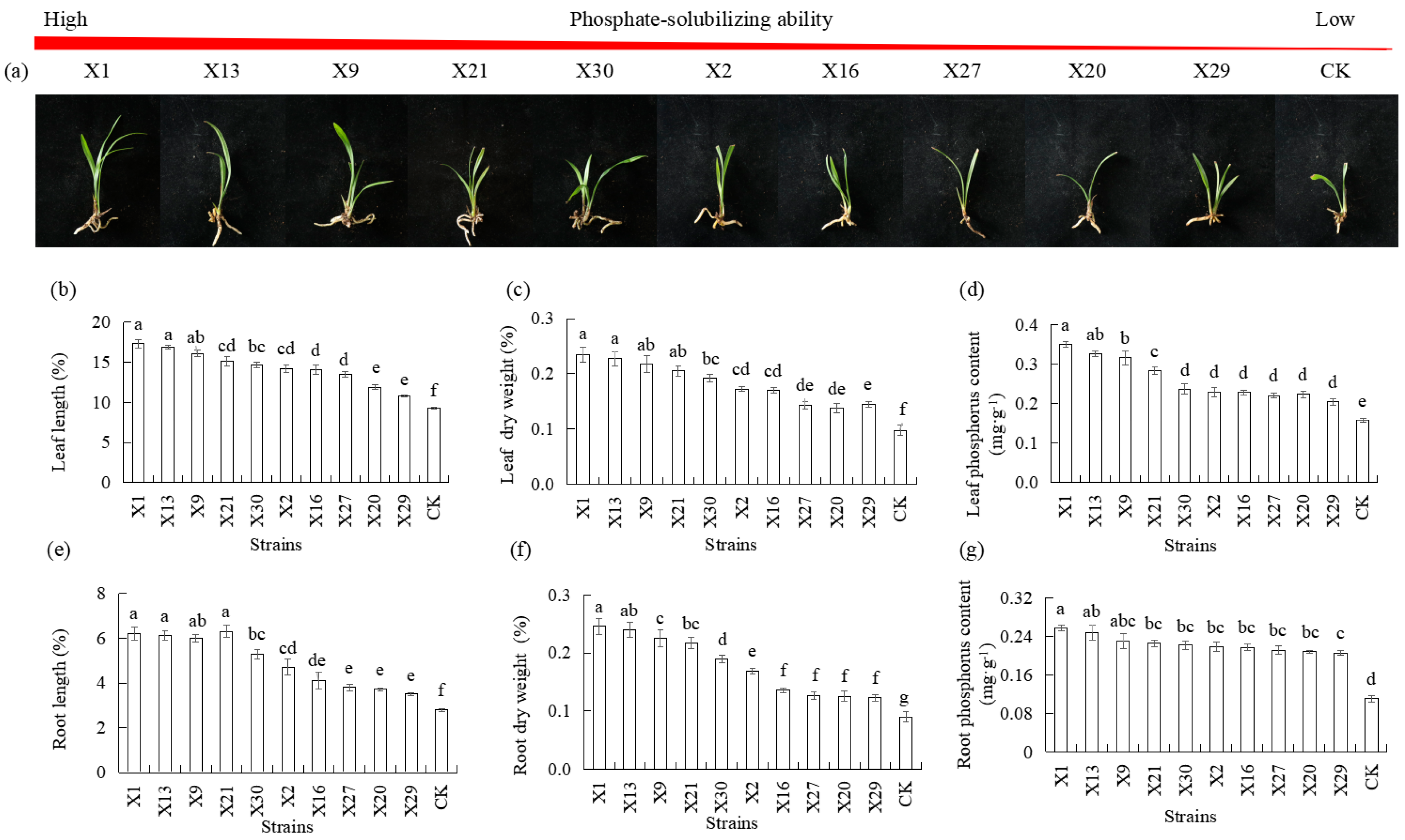 Microorganisms 13 02229 g003