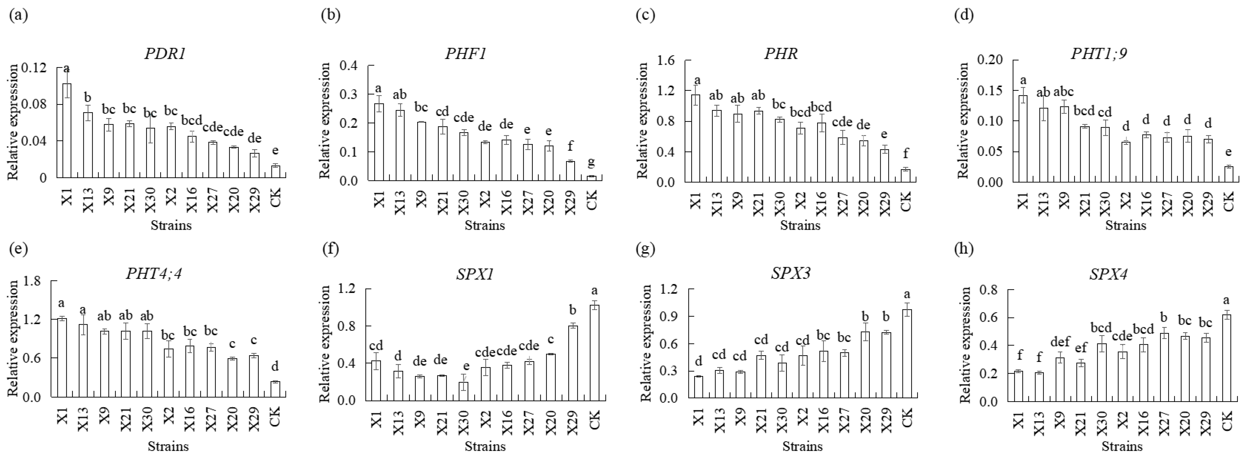 Microorganisms 13 02229 g005