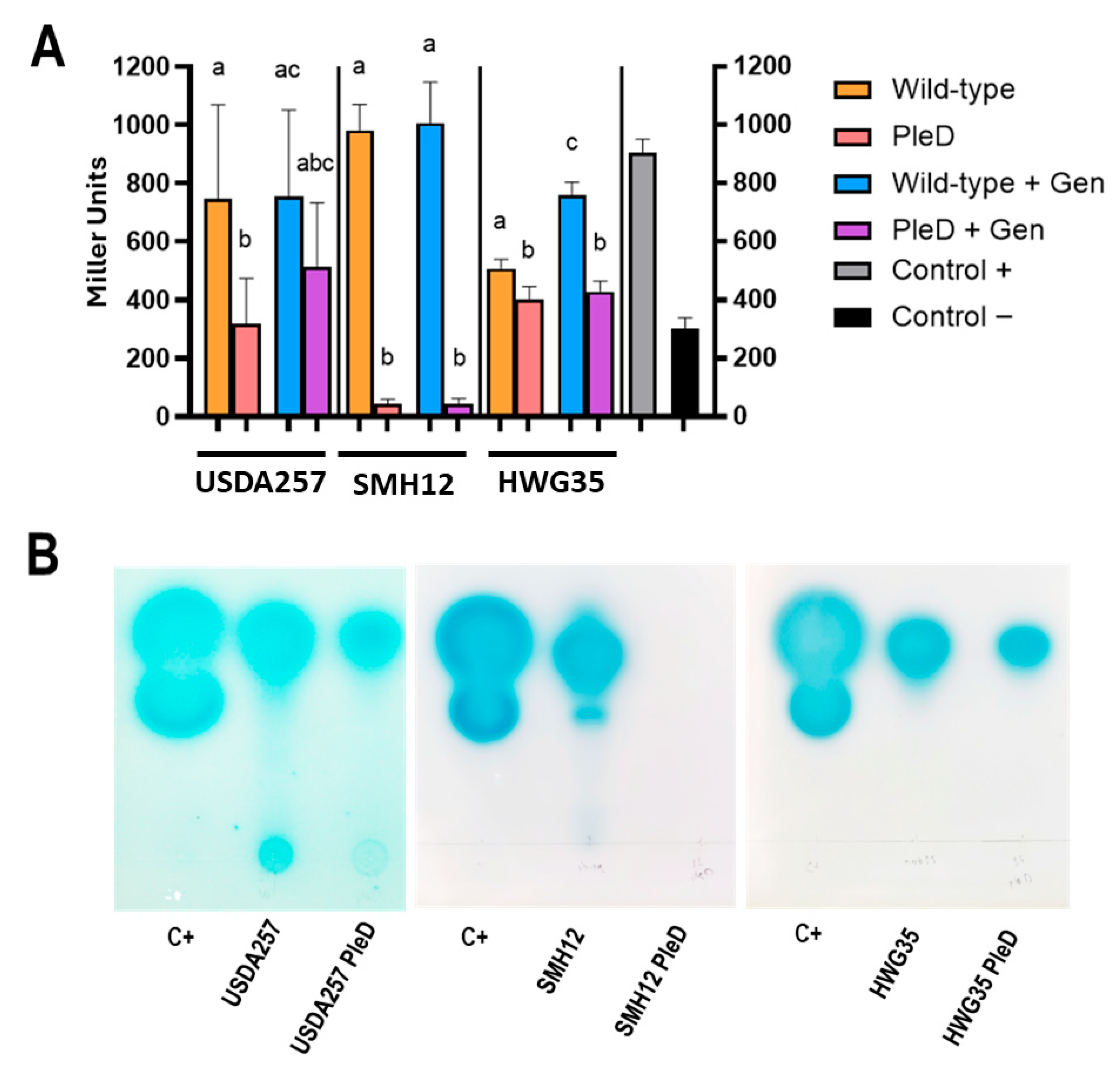 Microorganisms 13 02232 g001