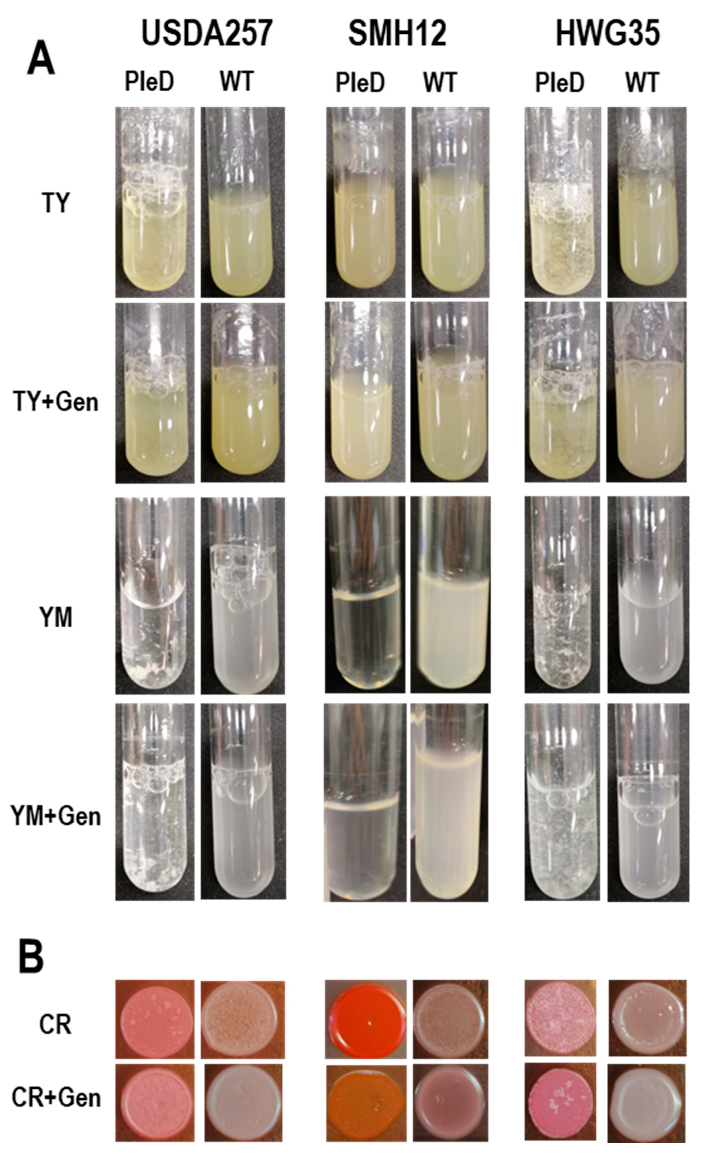 Microorganisms 13 02232 g002