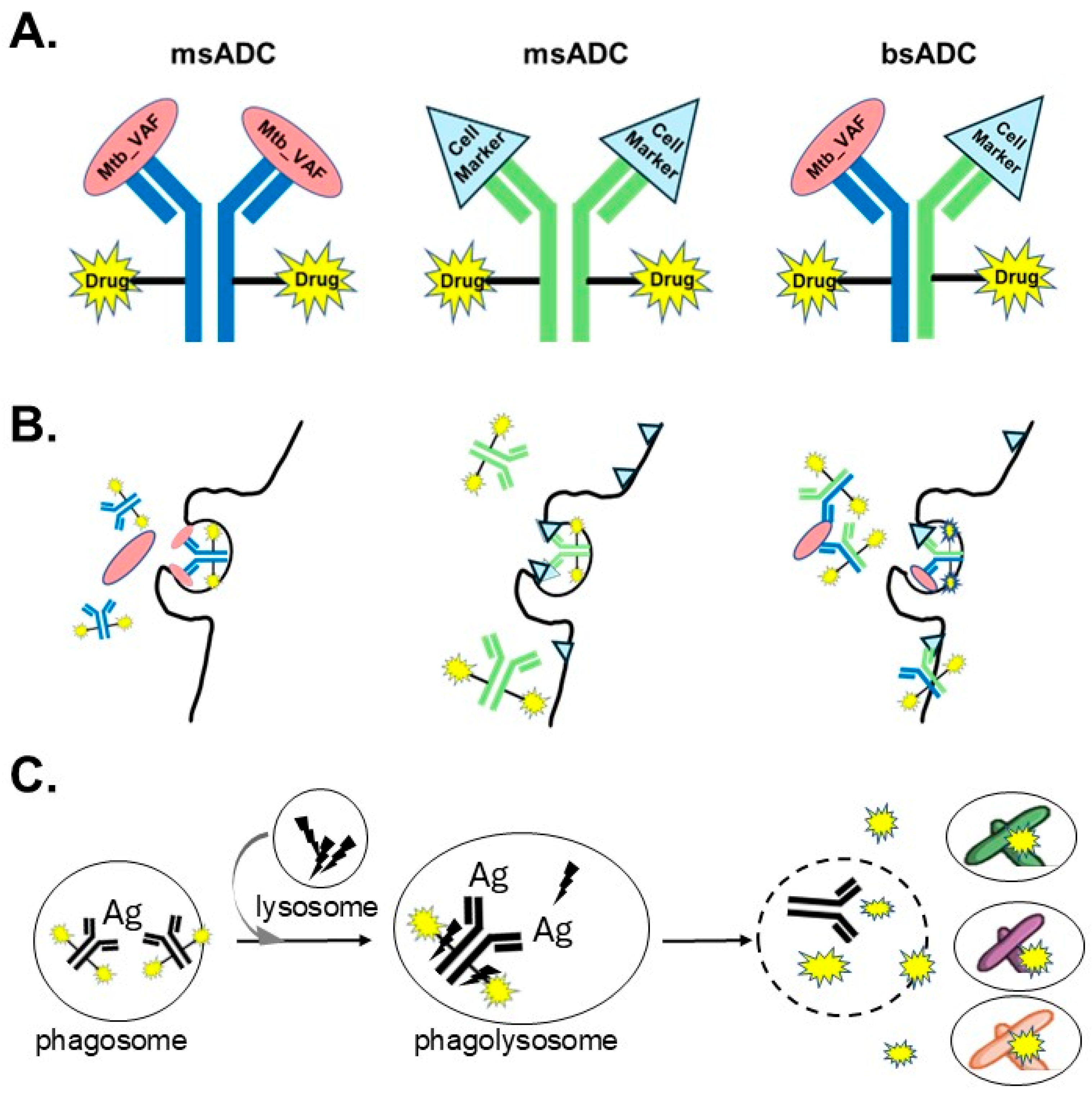 Microorganisms 13 02234 g001