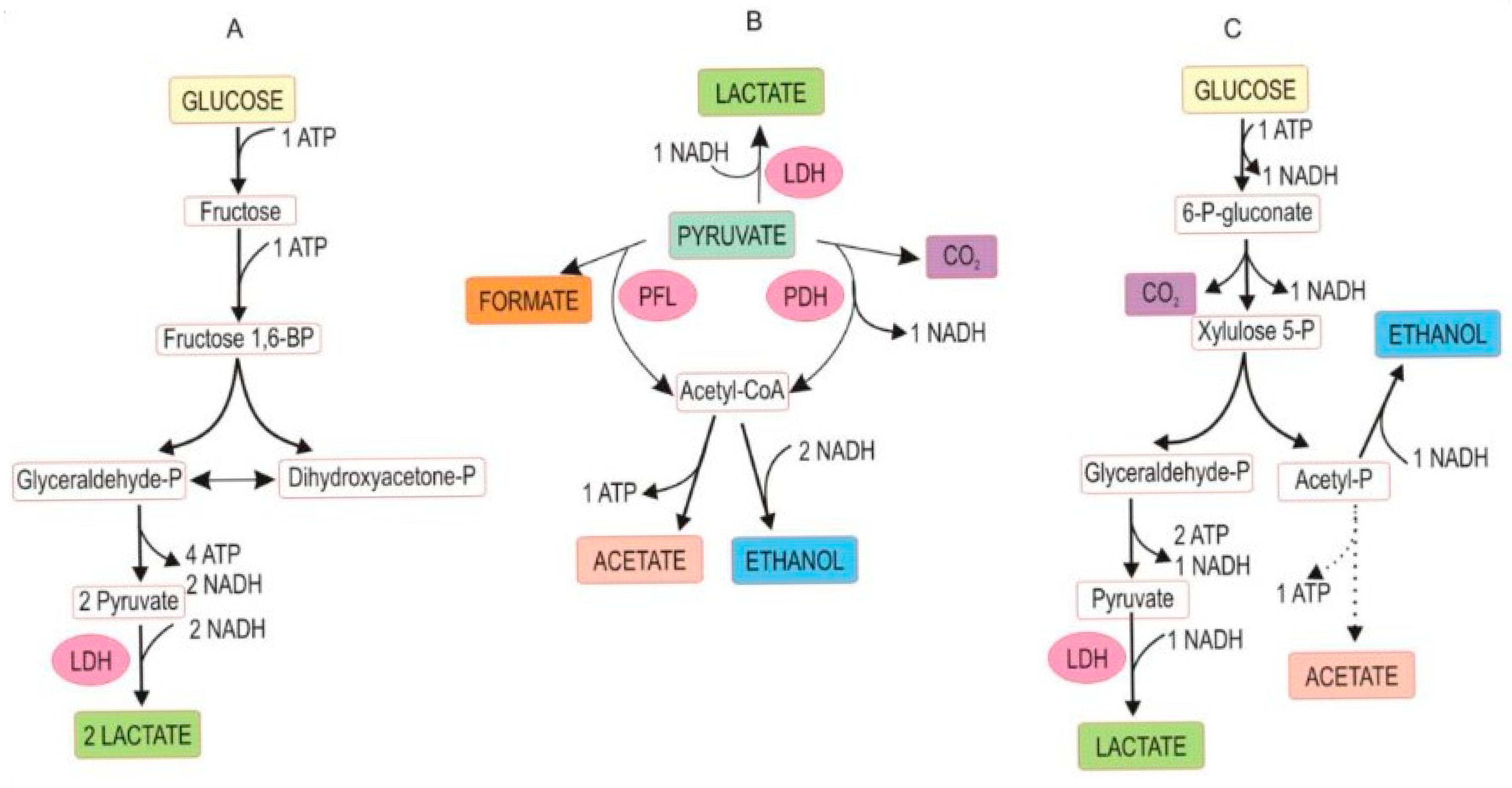 Microorganisms 13 02237 g002