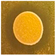 Microorganisms 13 02240 i011 Microorganisms 13 02240 i011