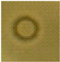 Microorganisms 13 02240 i013 Microorganisms 13 02240 i013