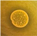 Microorganisms 13 02240 i016 Microorganisms 13 02240 i016