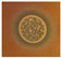 Microorganisms 13 02240 i020 Microorganisms 13 02240 i020