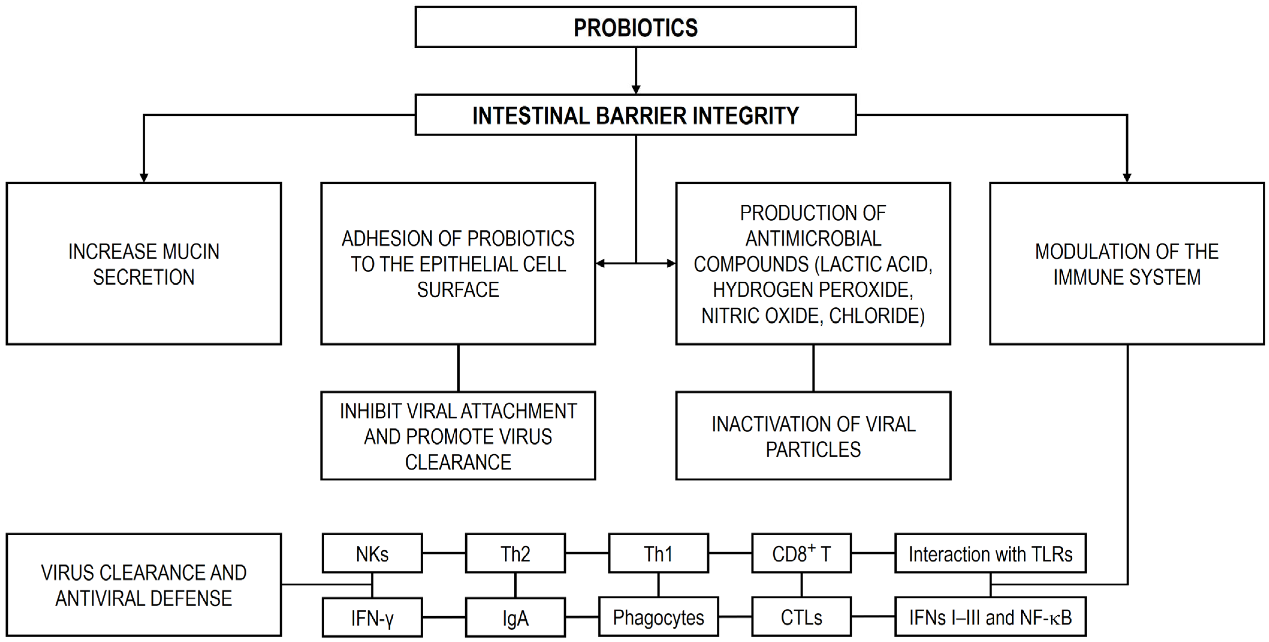 Microorganisms 13 02247 g003