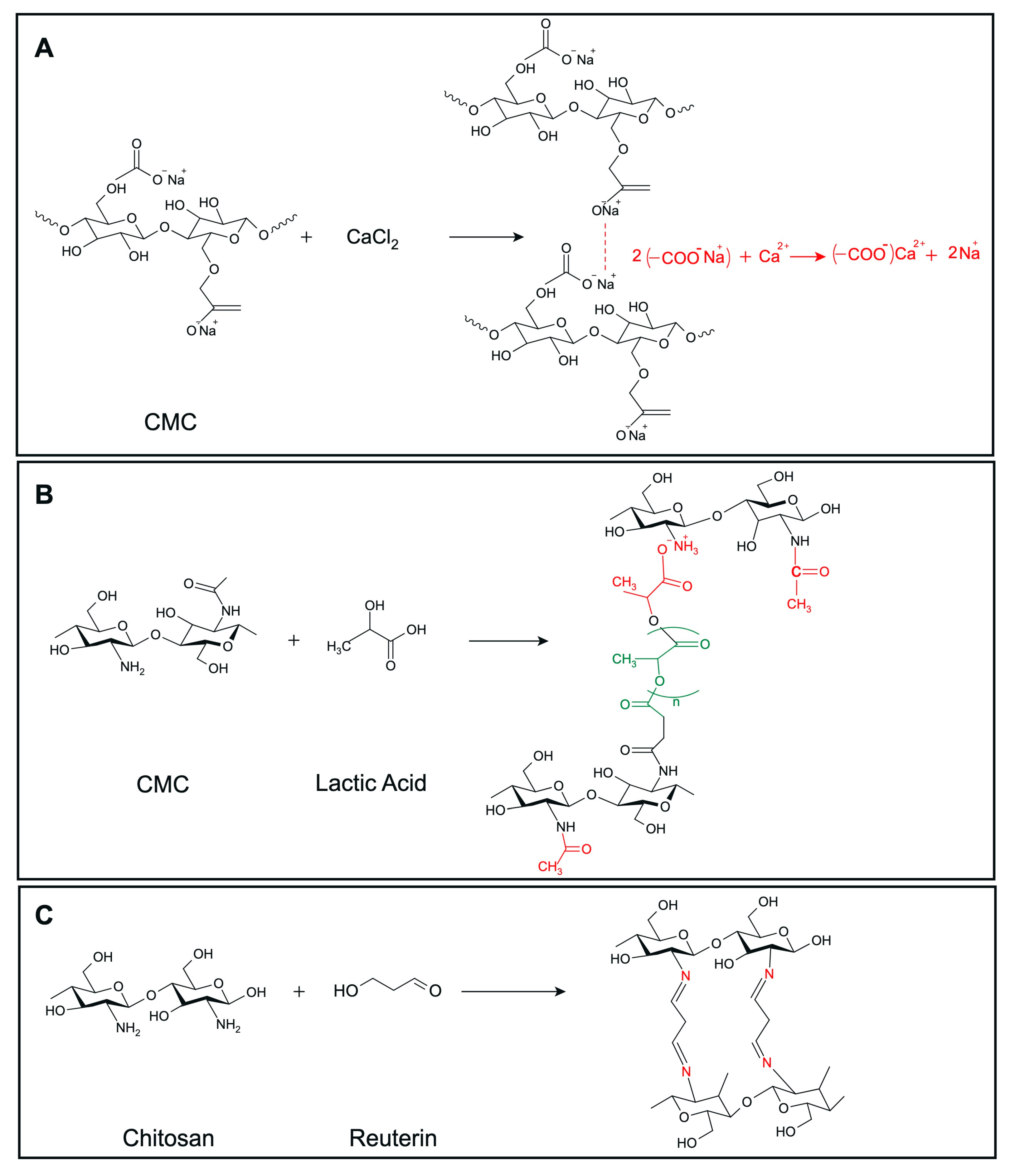 Microorganisms 13 02249 g002 Microorganisms 13 02249 g002