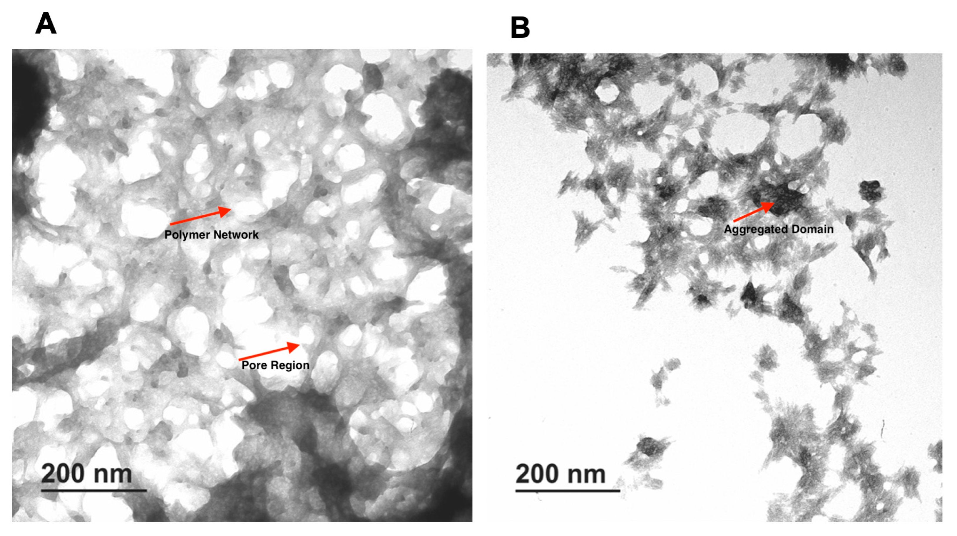 Microorganisms 13 02249 g003 Microorganisms 13 02249 g003
