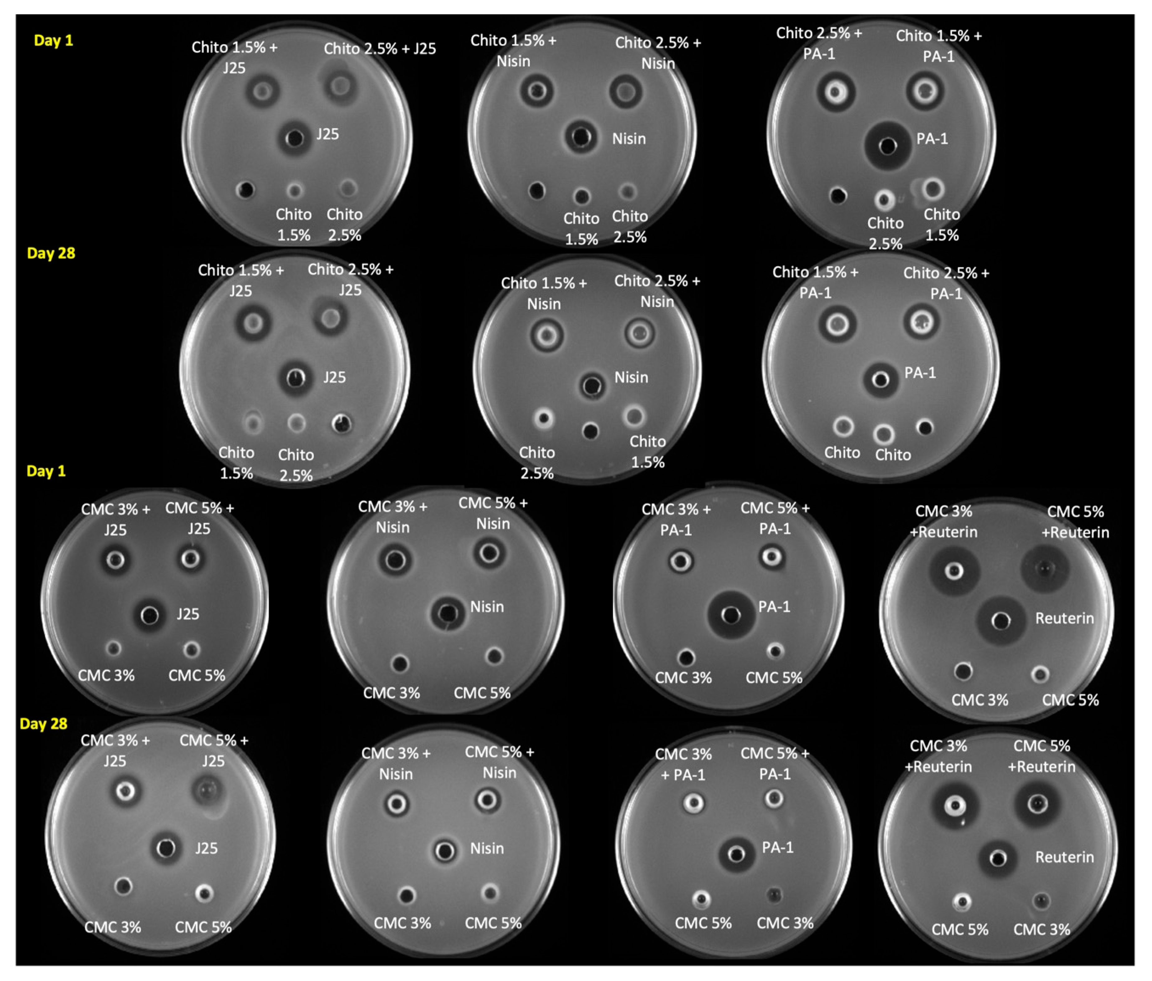 Microorganisms 13 02249 g006 Microorganisms 13 02249 g006