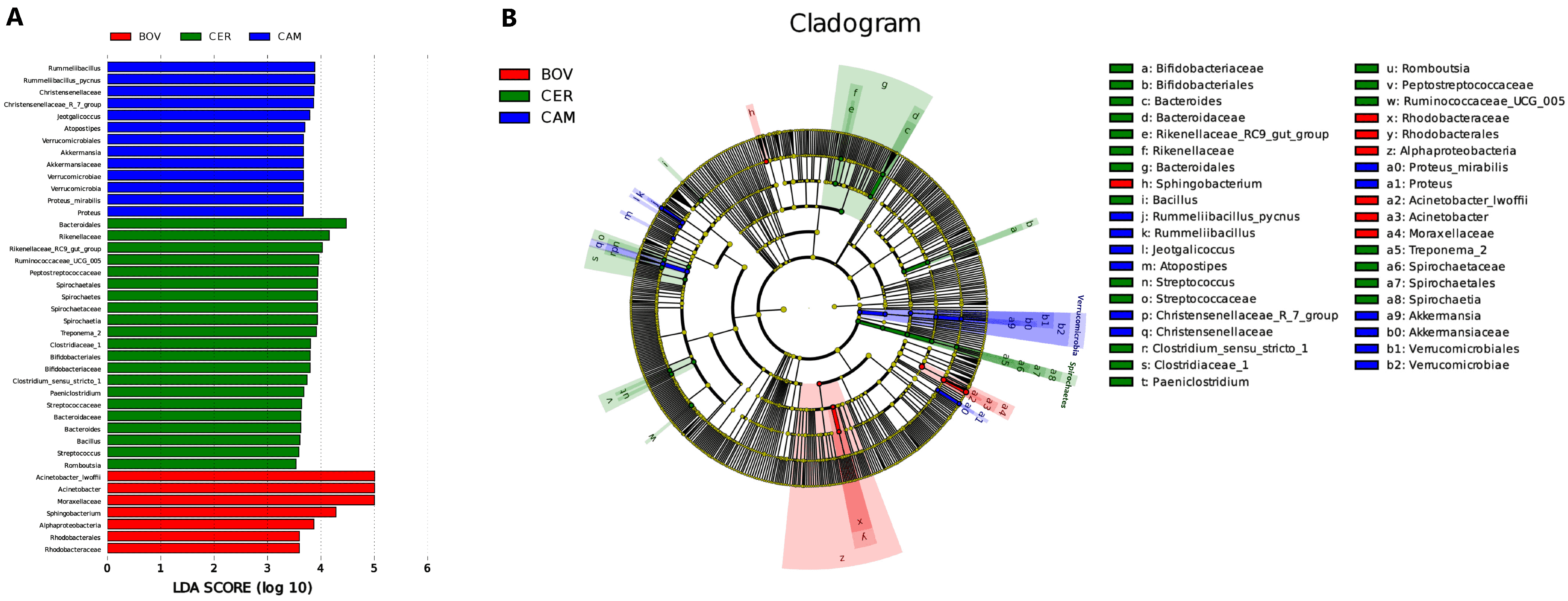 Microorganisms 13 02250 g004