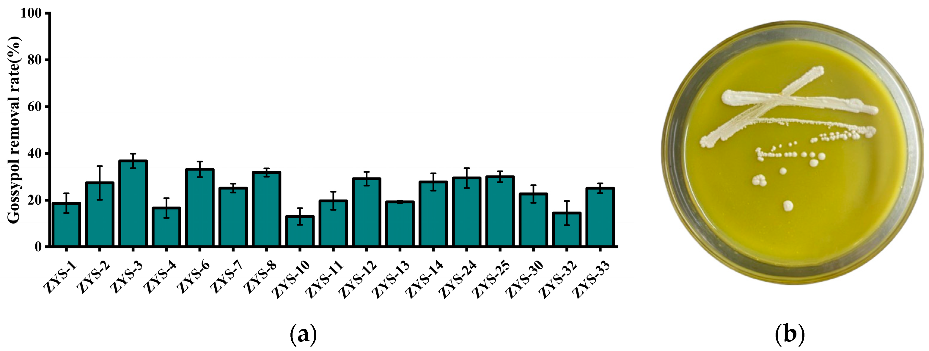 Microorganisms 13 02251 g001